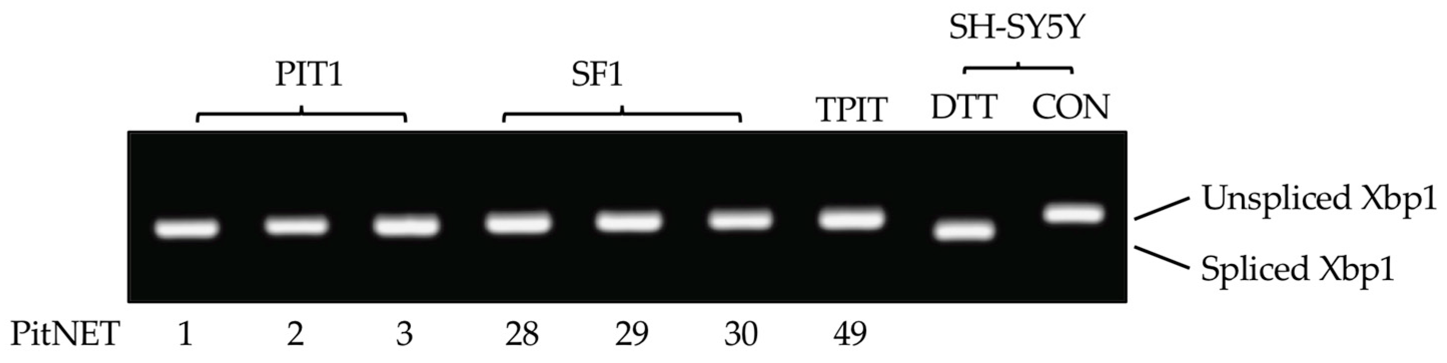 Preprints 97392 g007