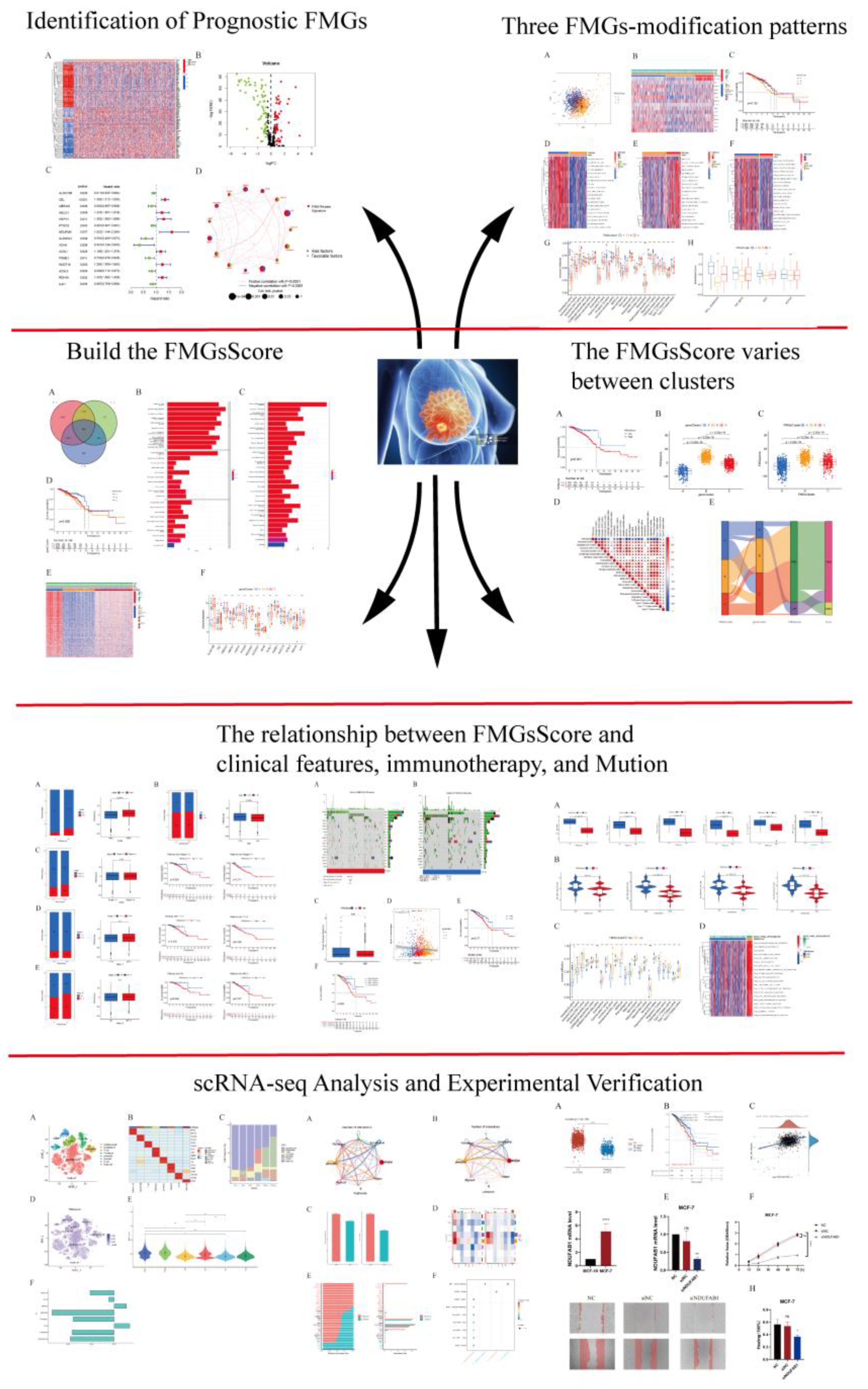 Preprints 76527 g001