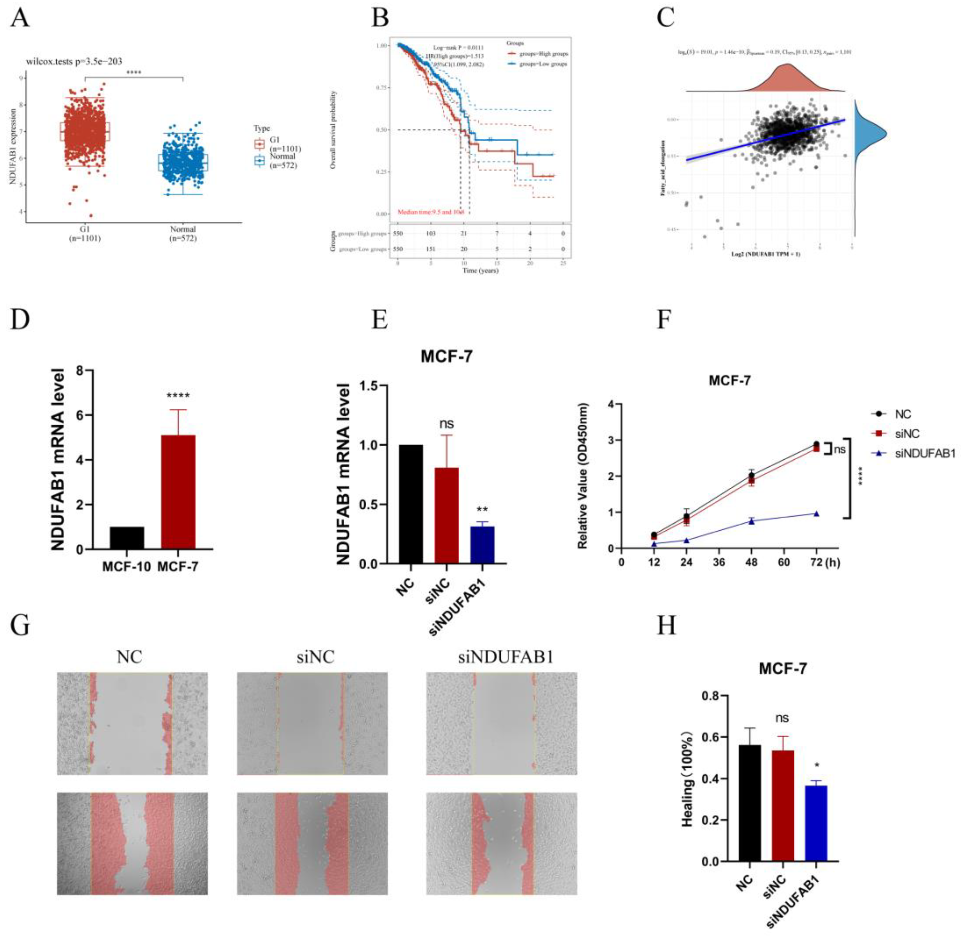 Preprints 76527 g011