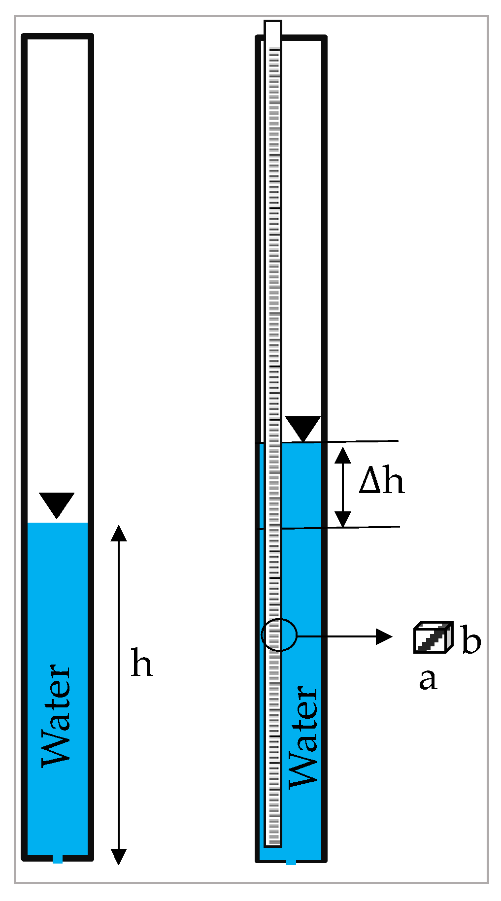 Preprints 111992 g017