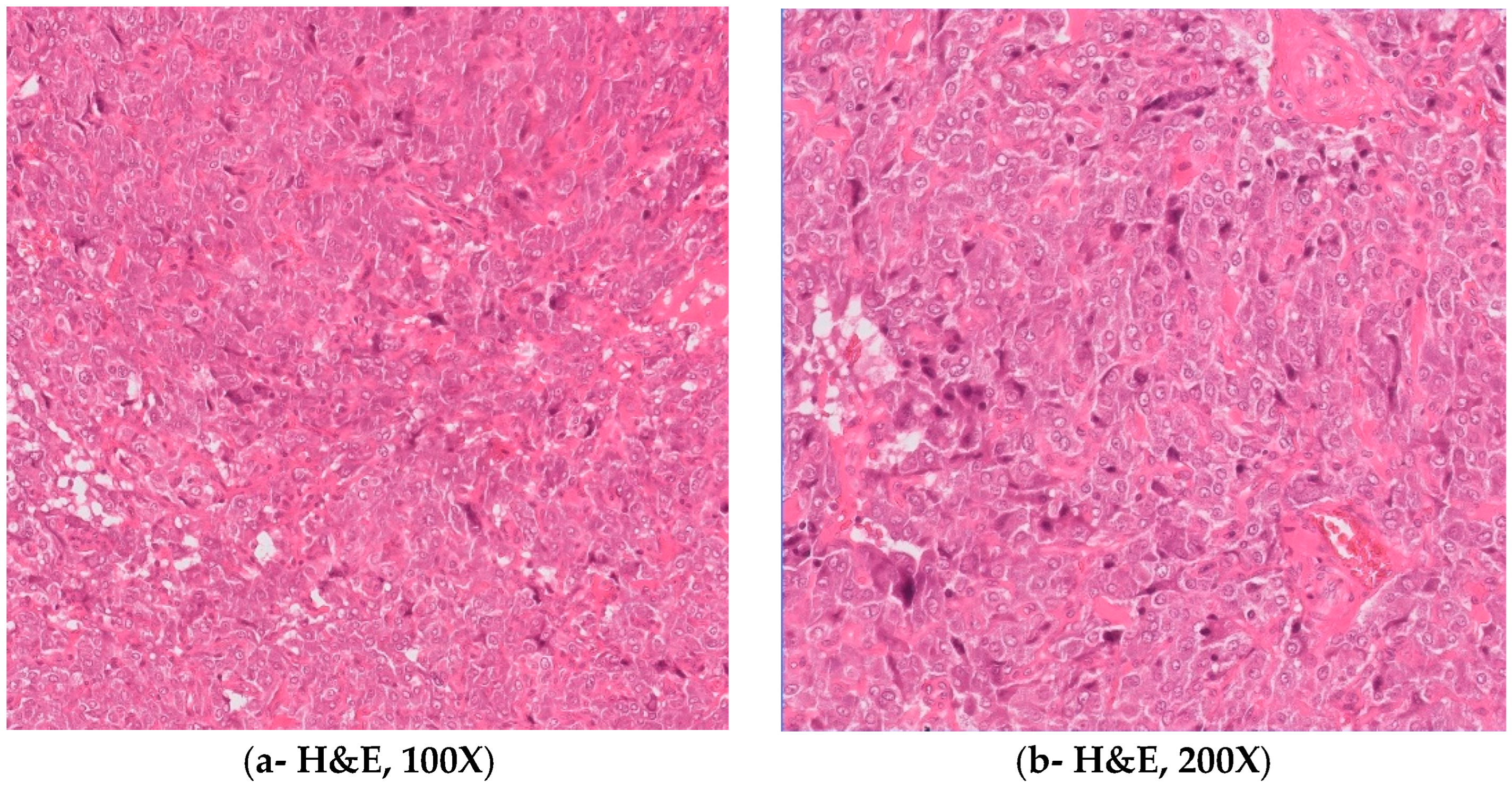 Preprints 113536 g002a