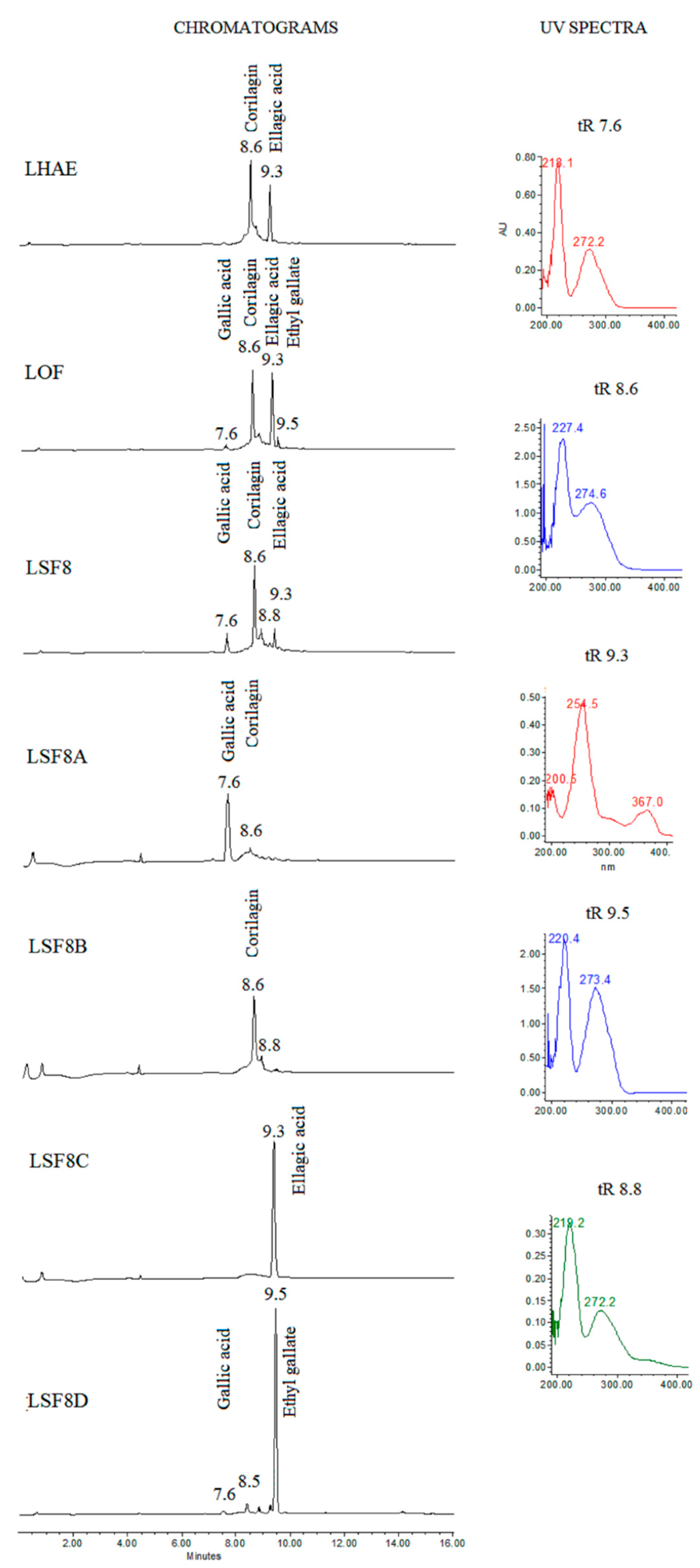 Preprints 74666 g001