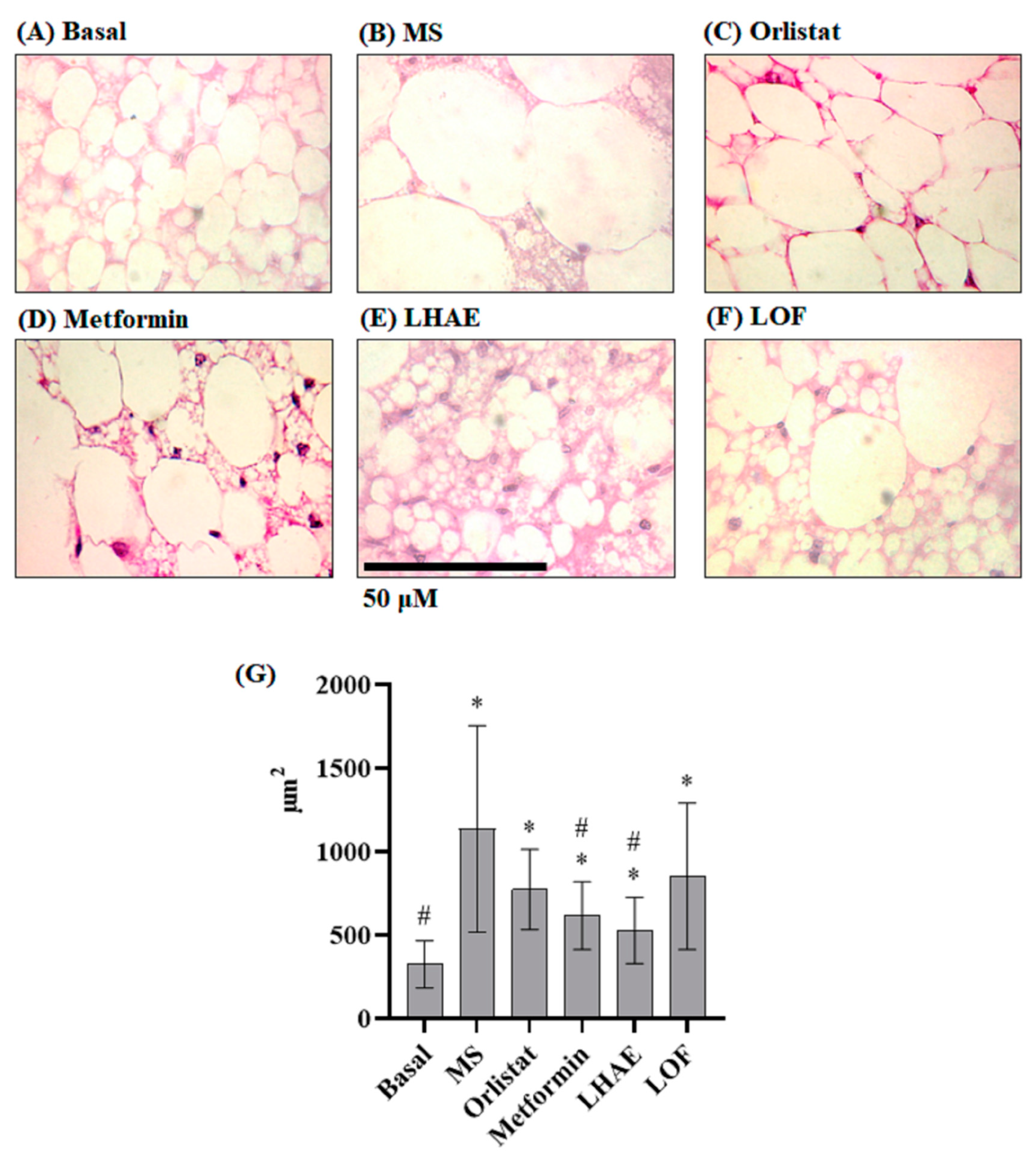 Preprints 74666 g005