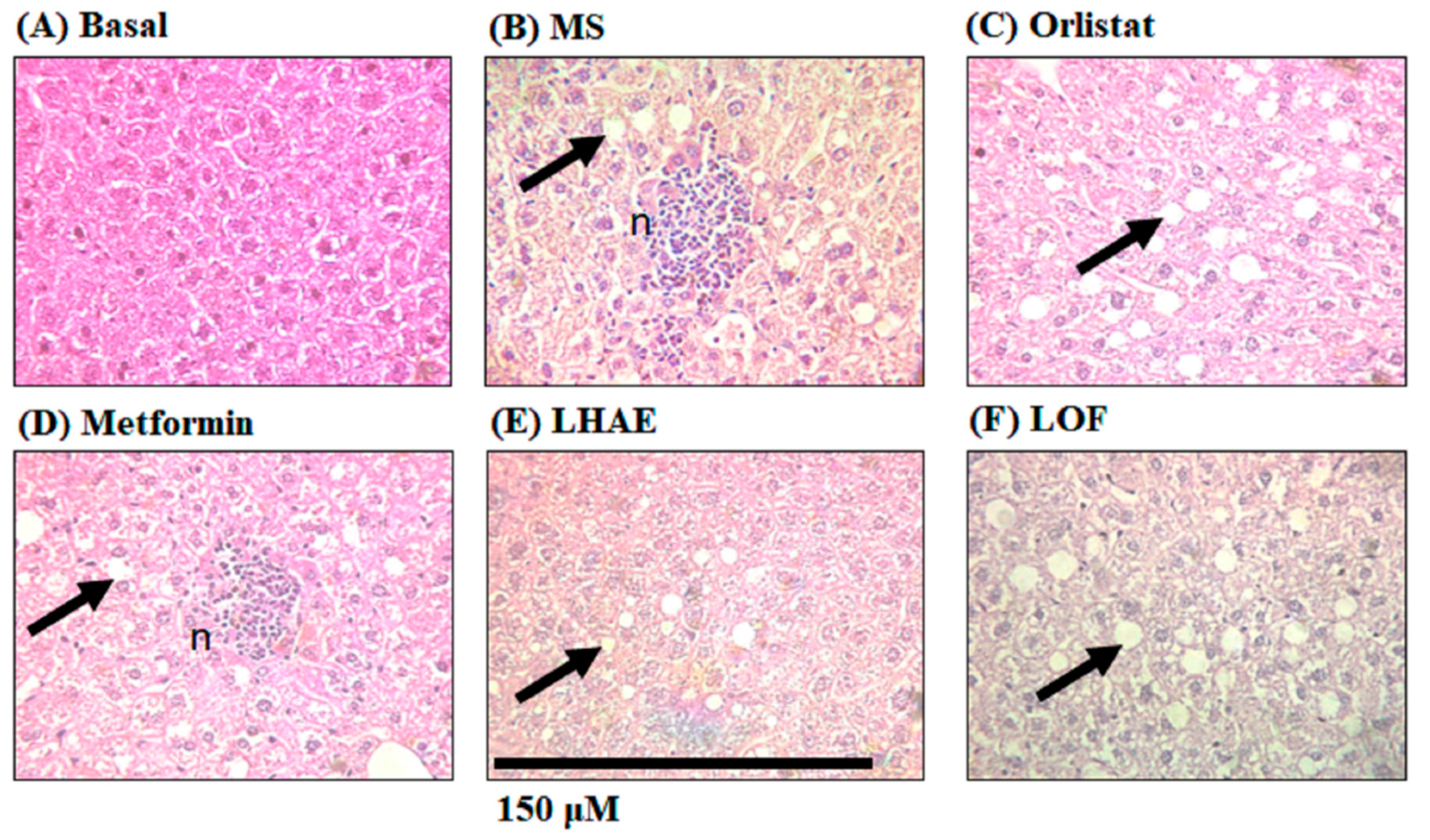 Preprints 74666 g007