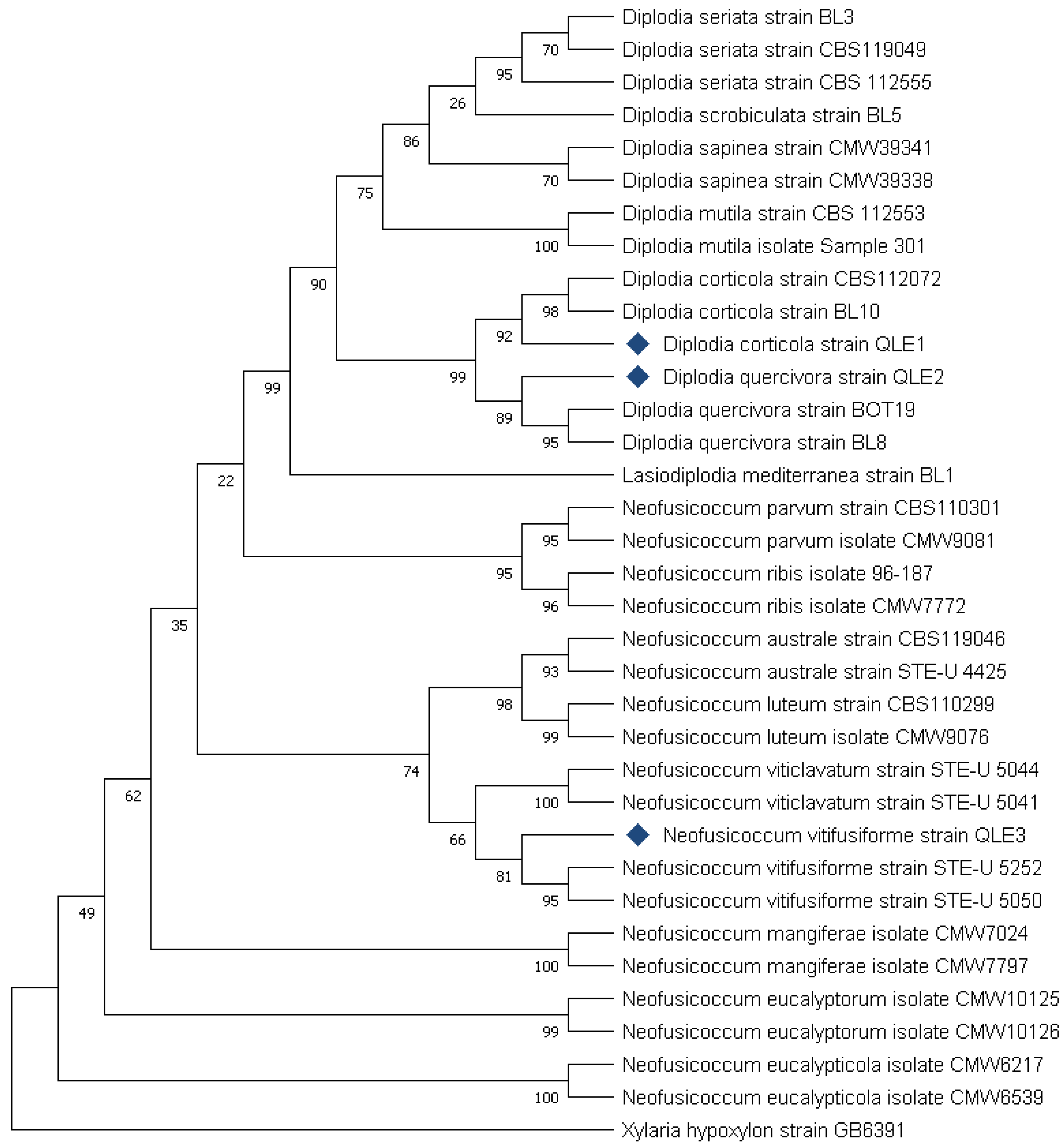 Preprints 90430 g008