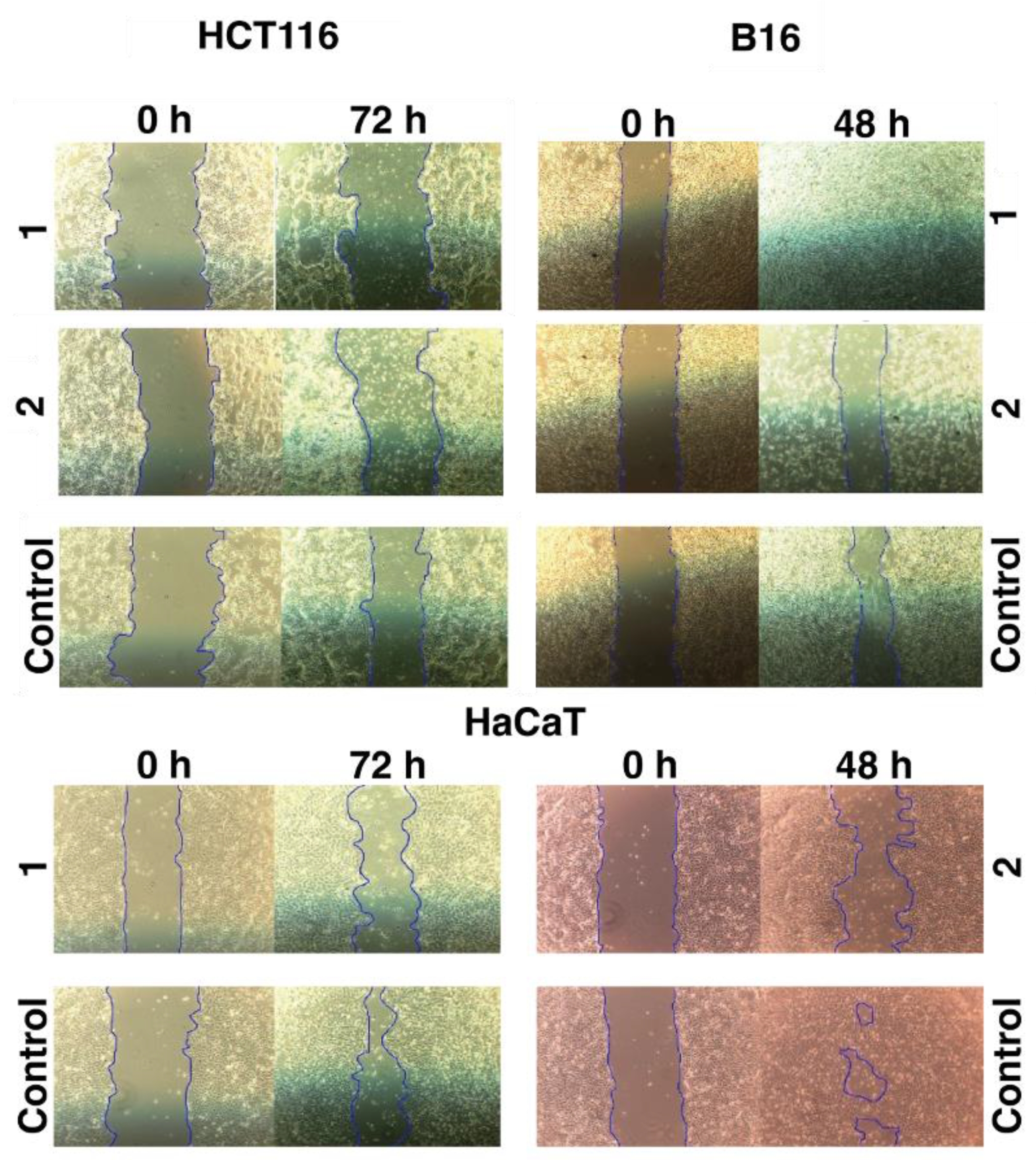 Preprints 75424 g003