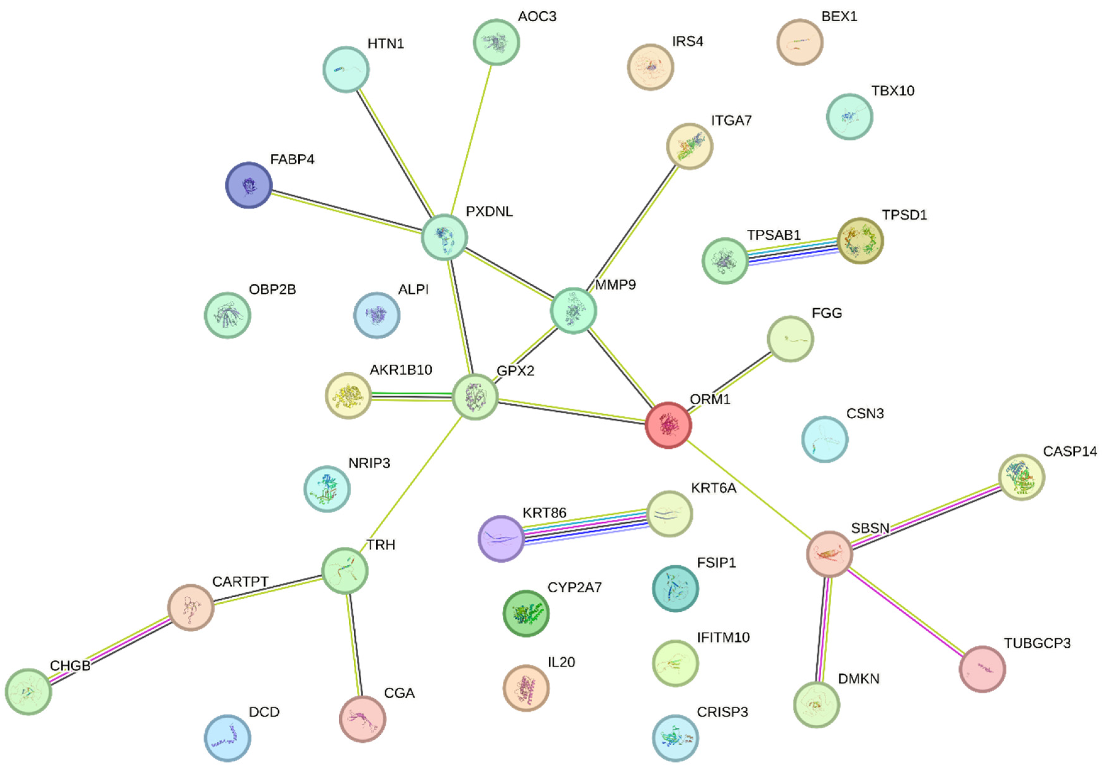 Preprints 117257 g002