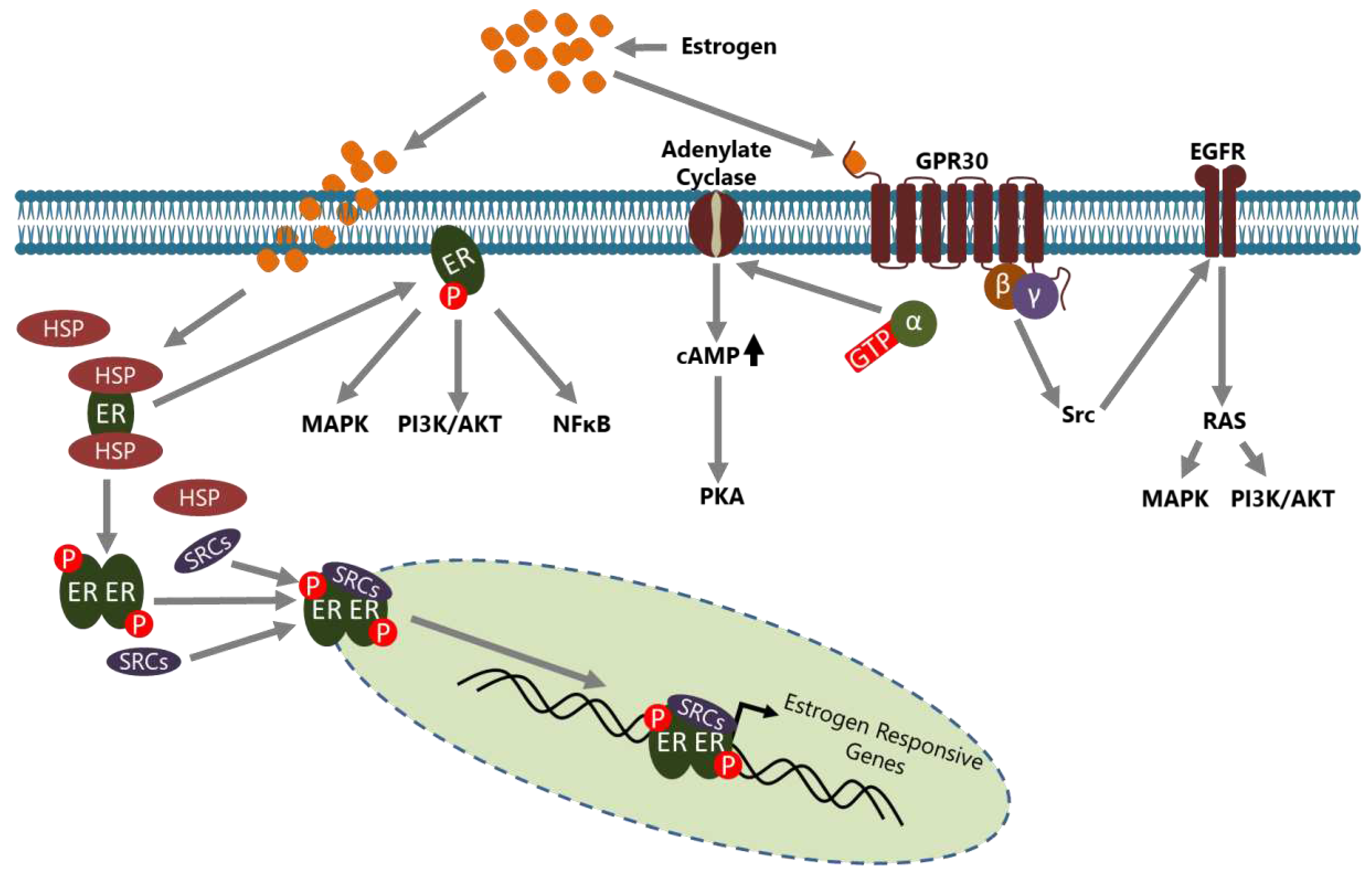 Preprints 87543 g001