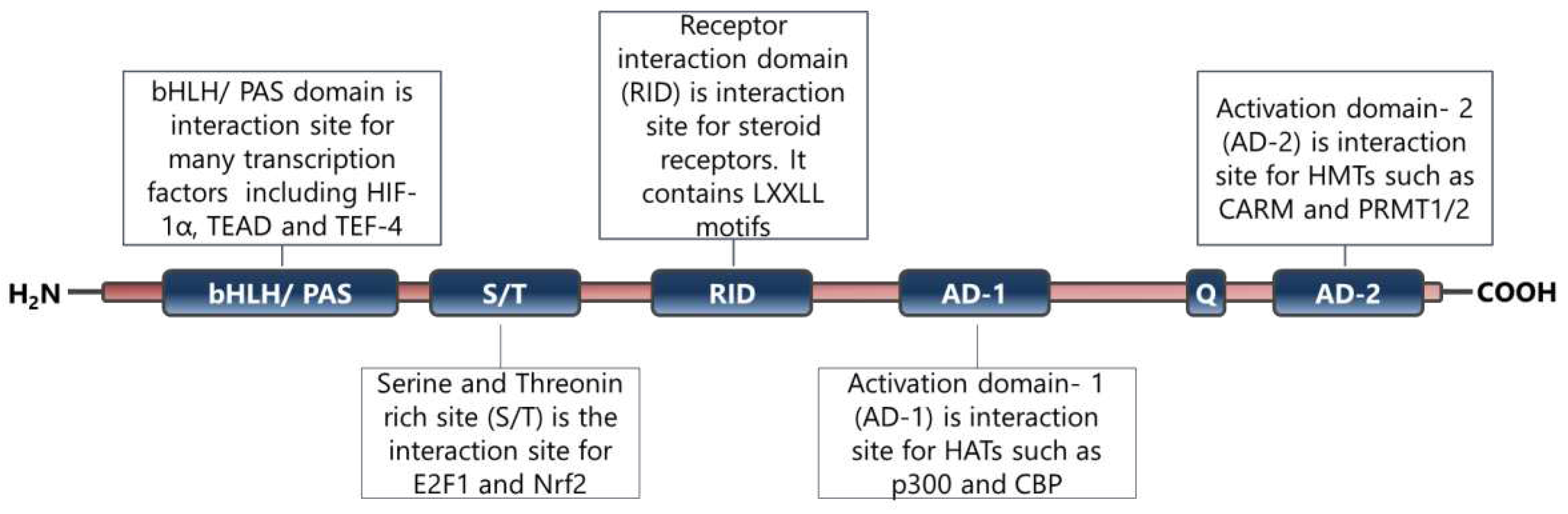 Preprints 87543 g002