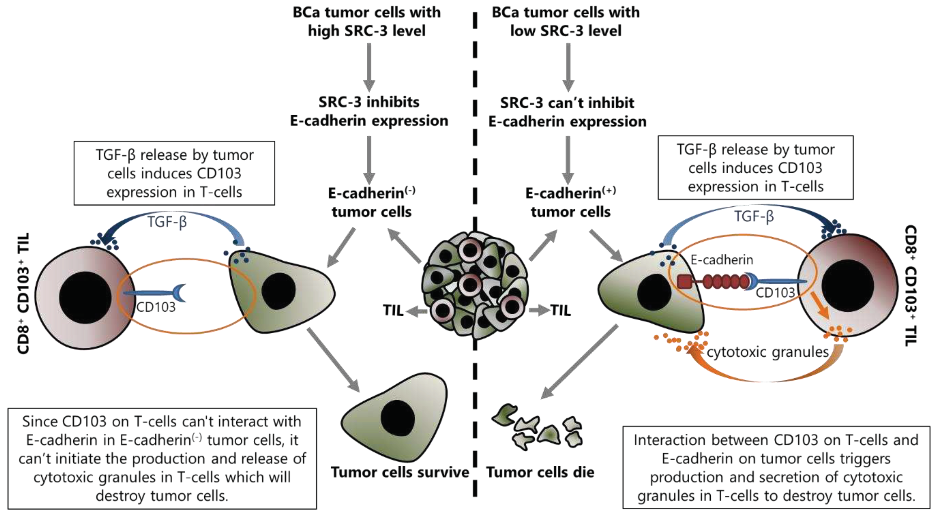 Preprints 87543 g004