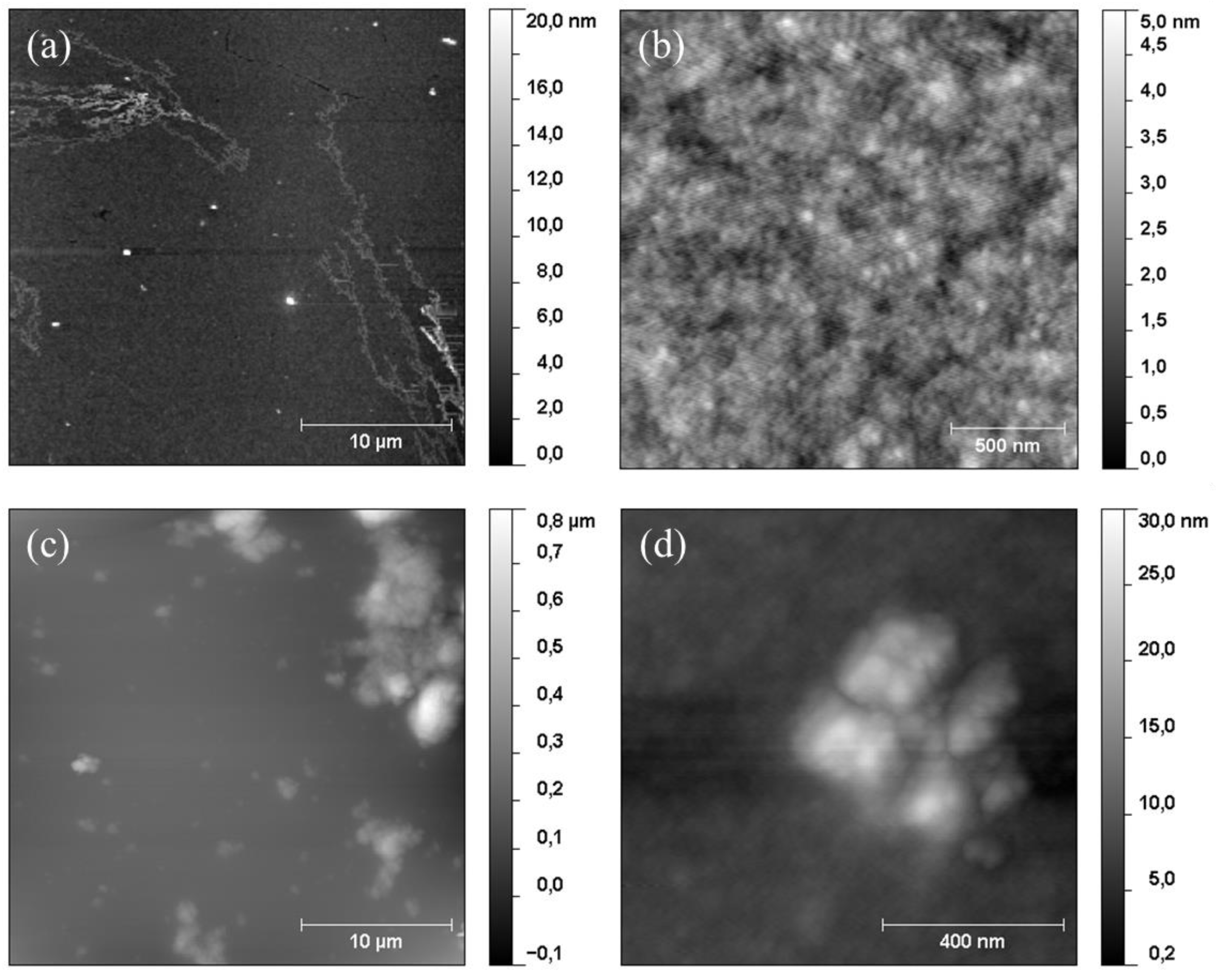 Preprints 75825 g004