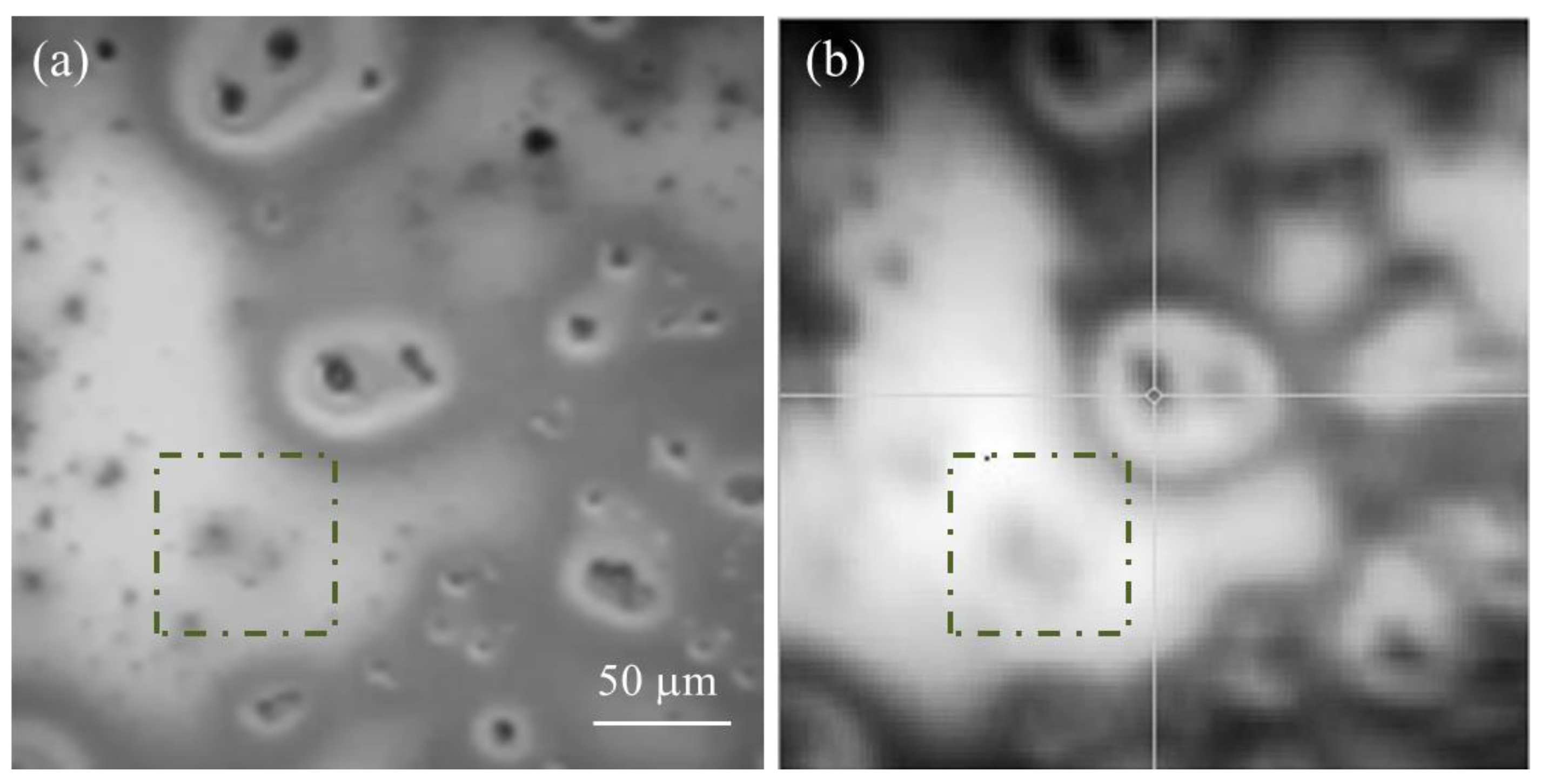 Preprints 75825 g005