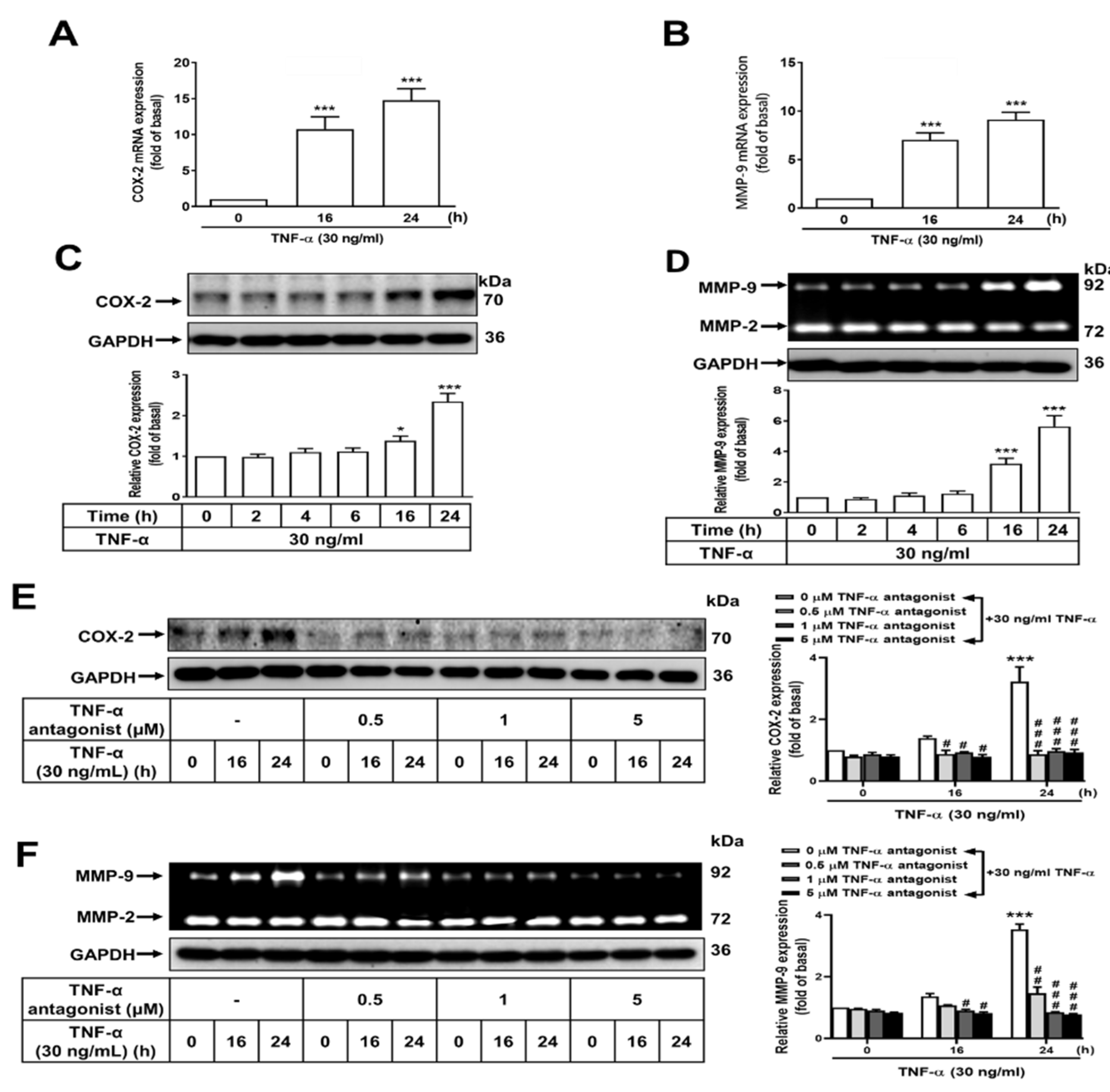 Preprints 103041 g001