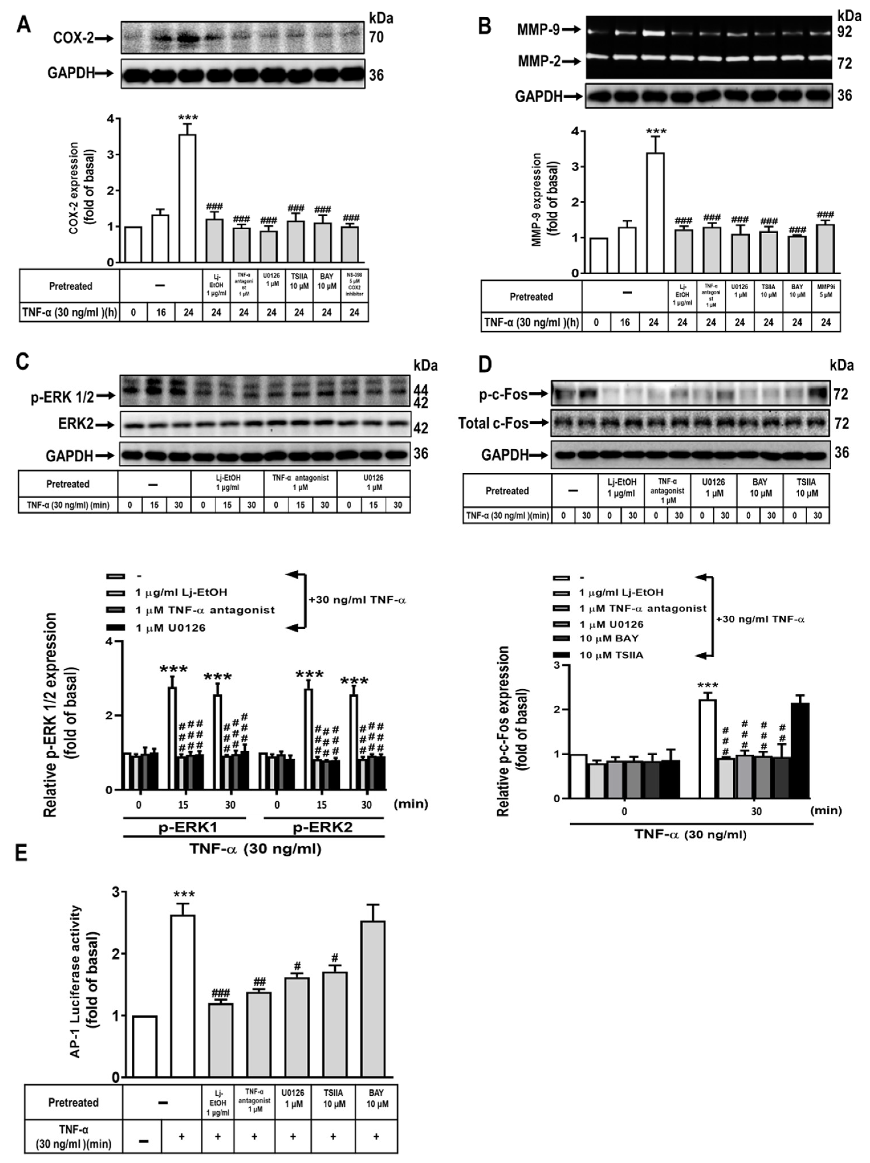 Preprints 103041 g003