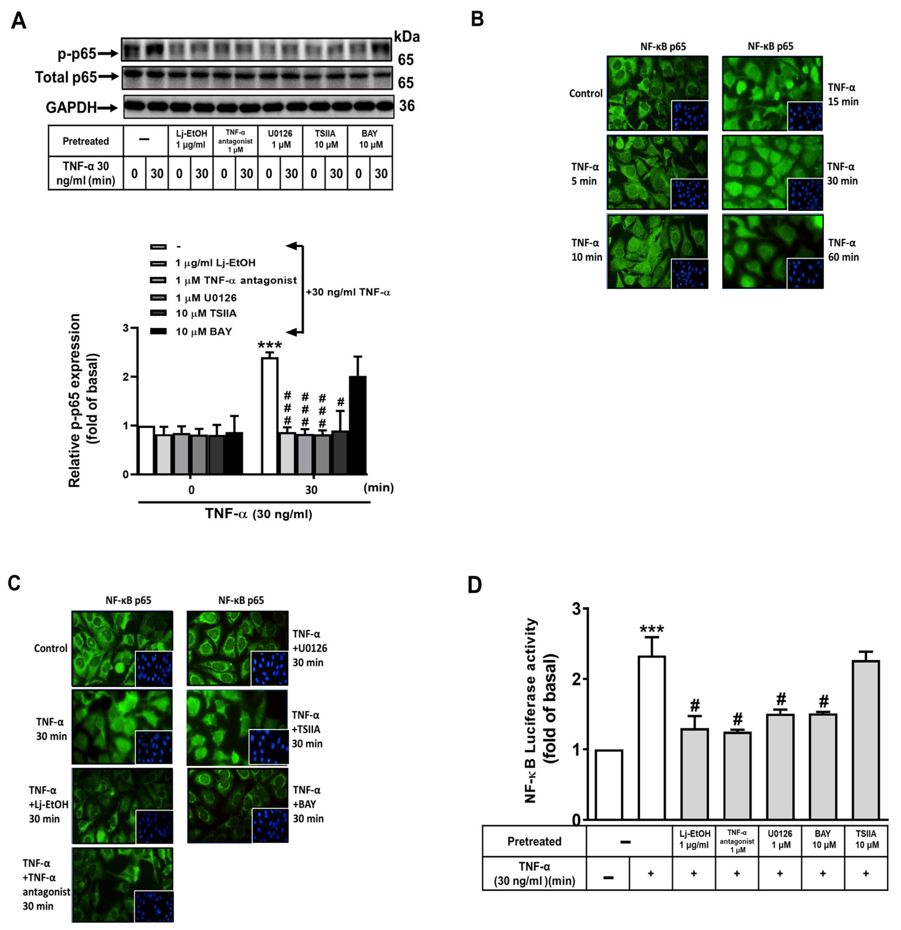 Preprints 103041 g004