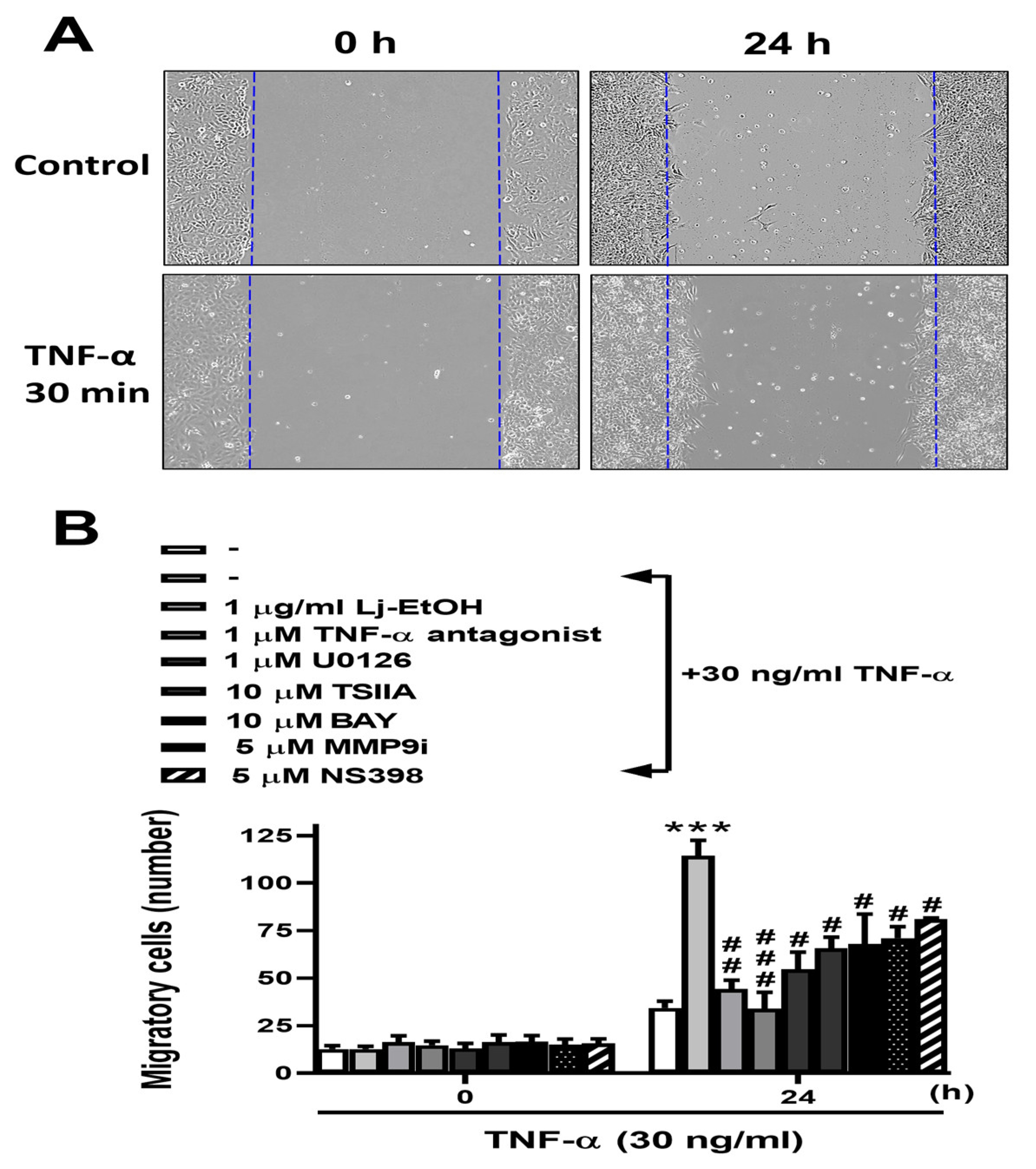 Preprints 103041 g005