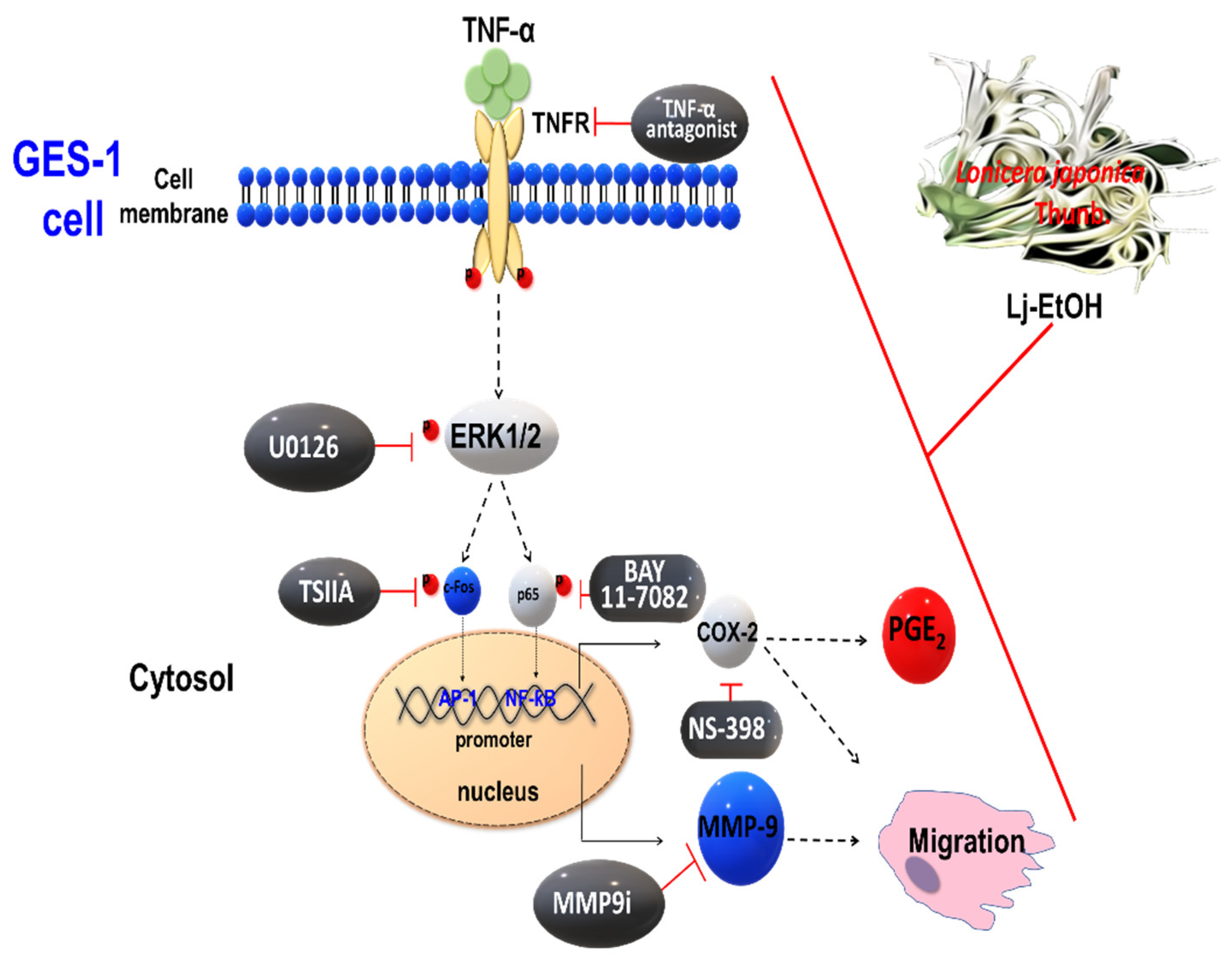 Preprints 103041 g006