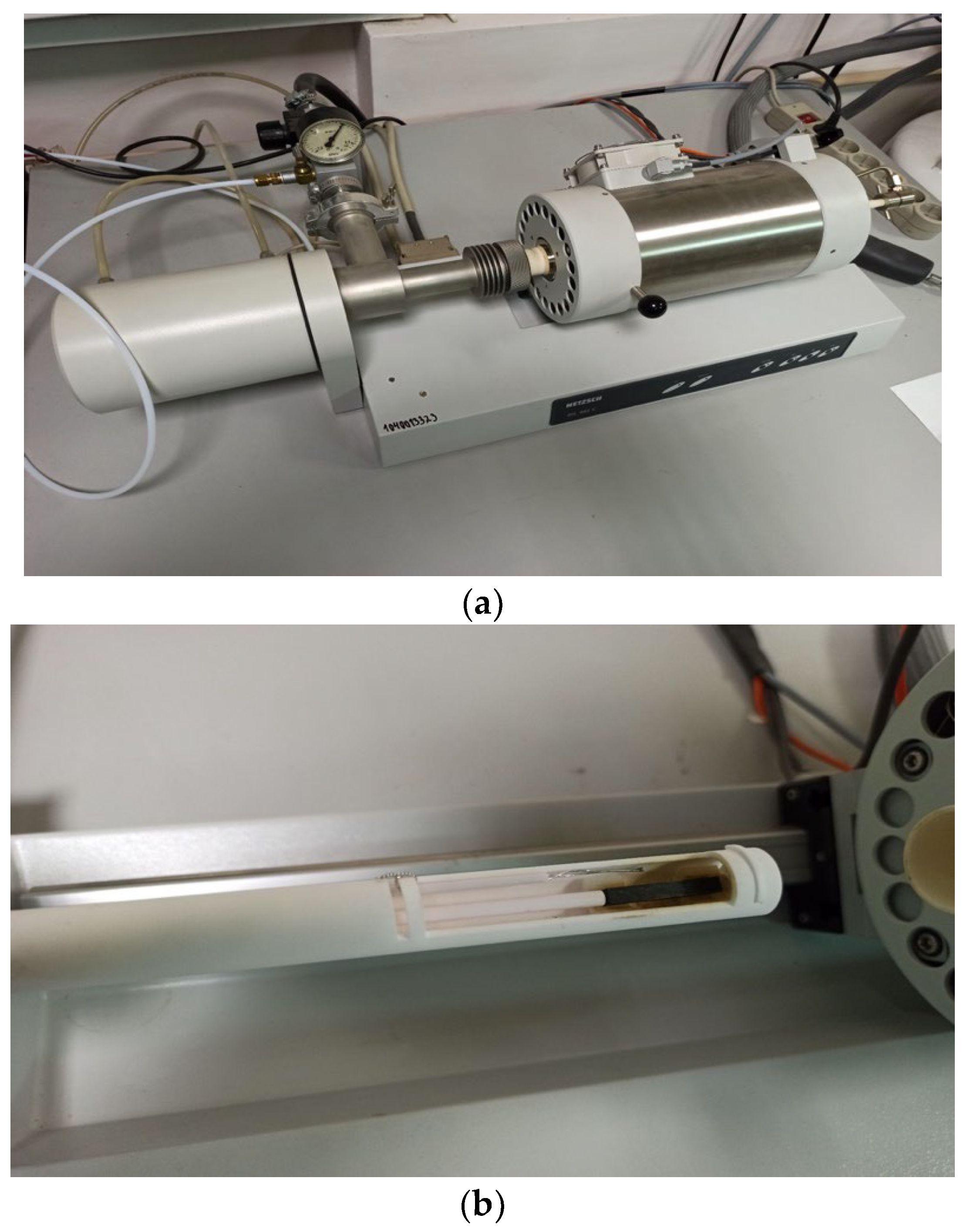 Preprints 67205 g001