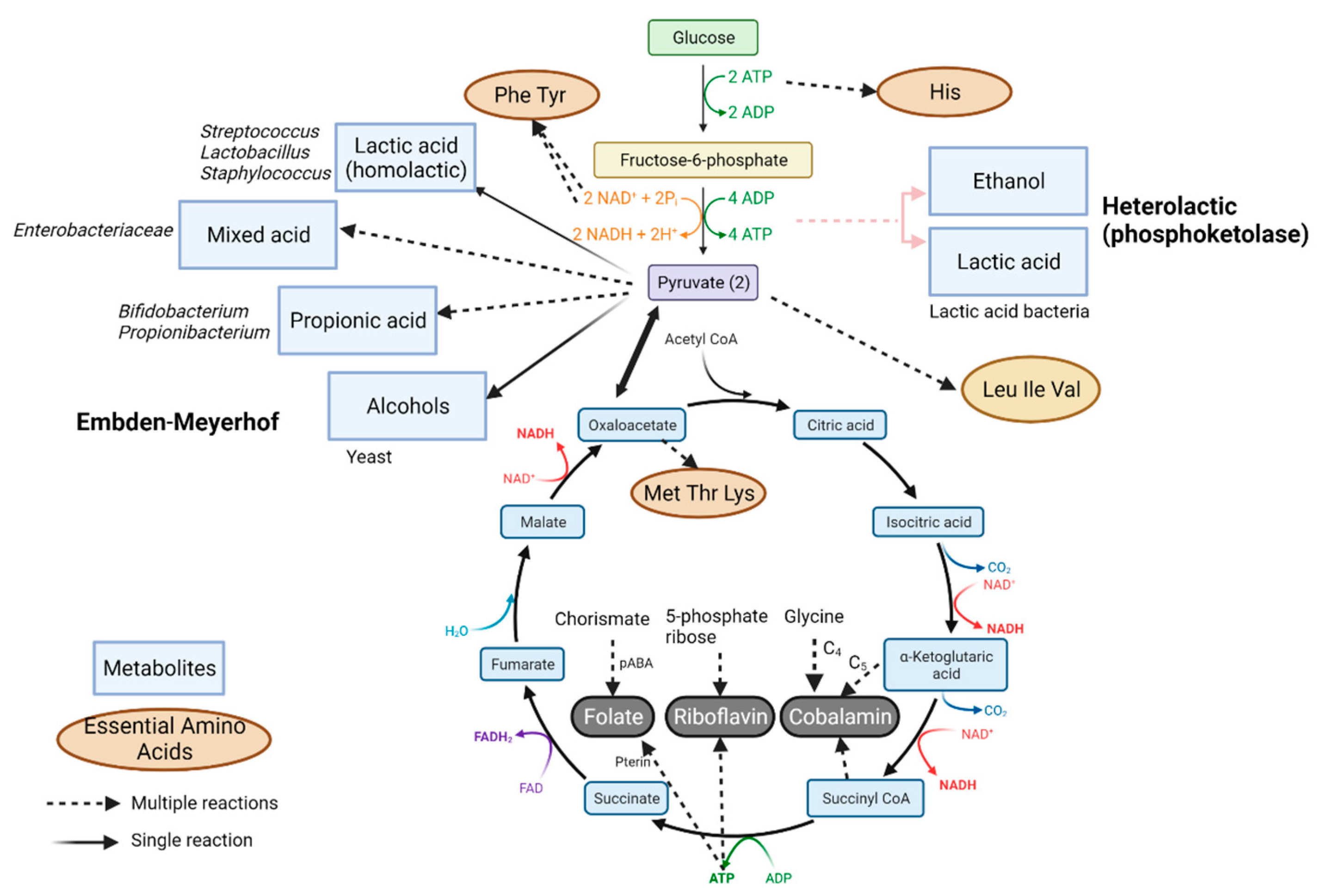 Preprints 78335 g002