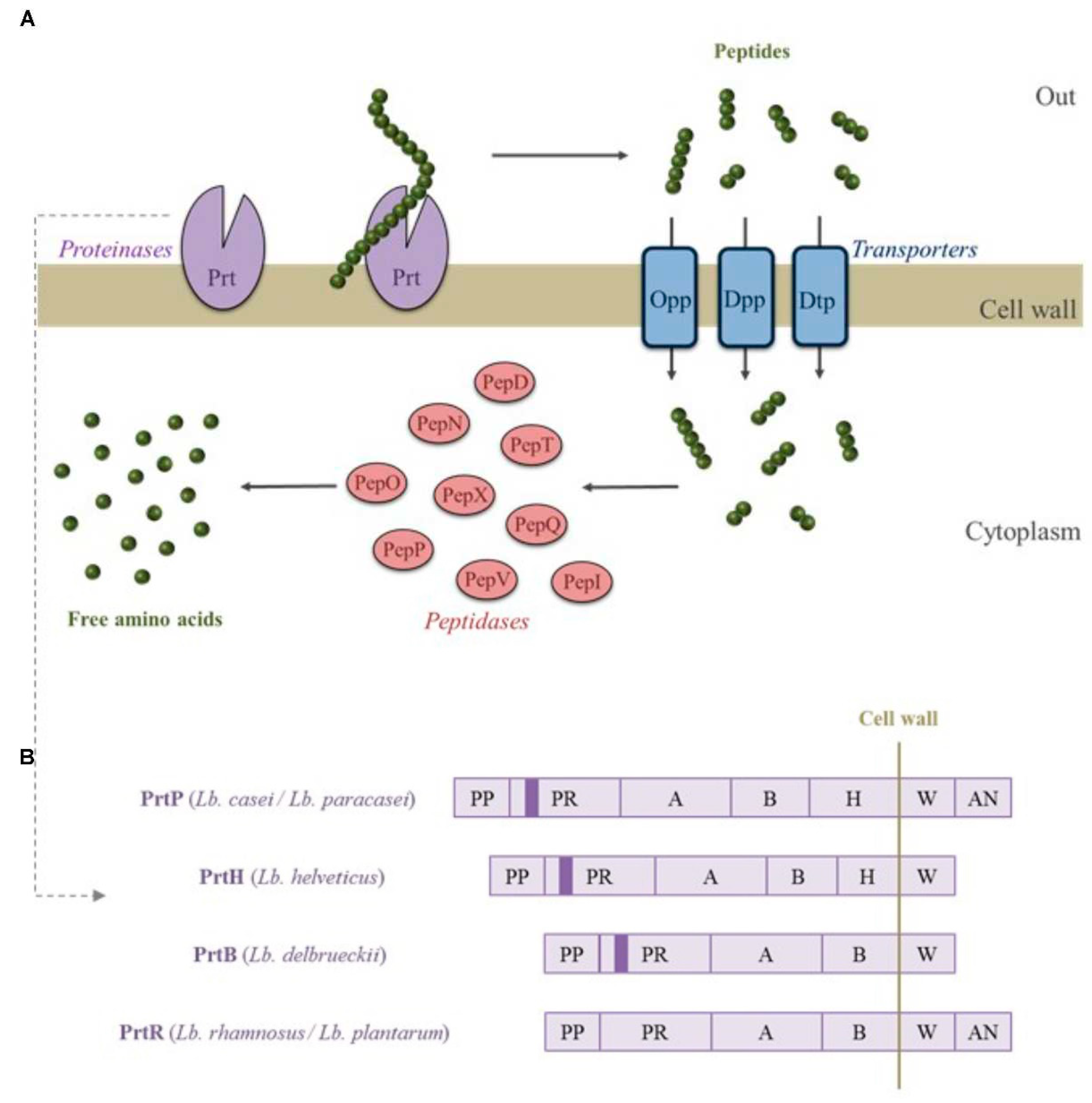 Preprints 78335 g003