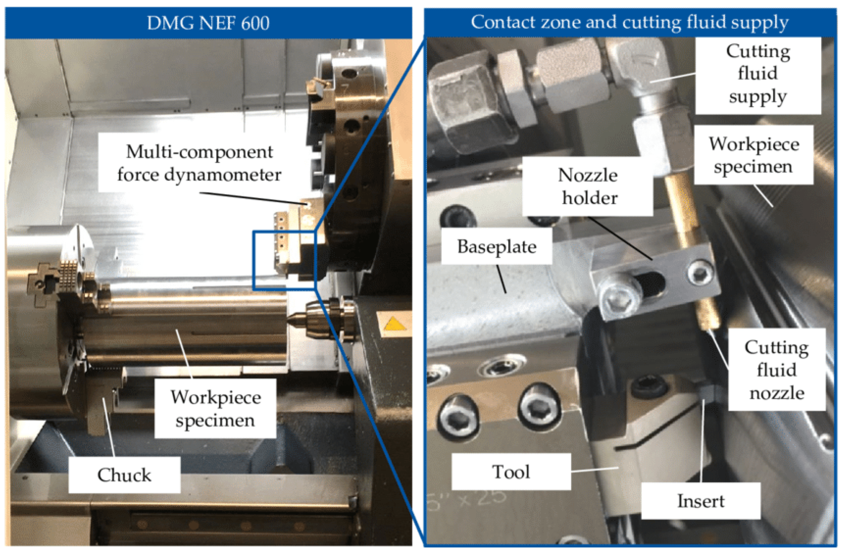 Preprints 113892 g002