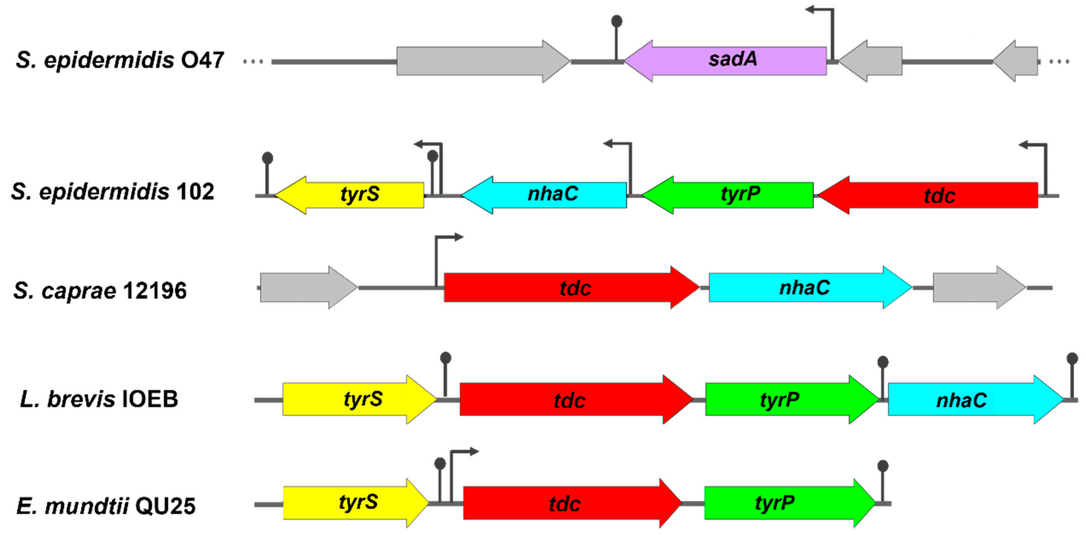 Preprints 122063 g003