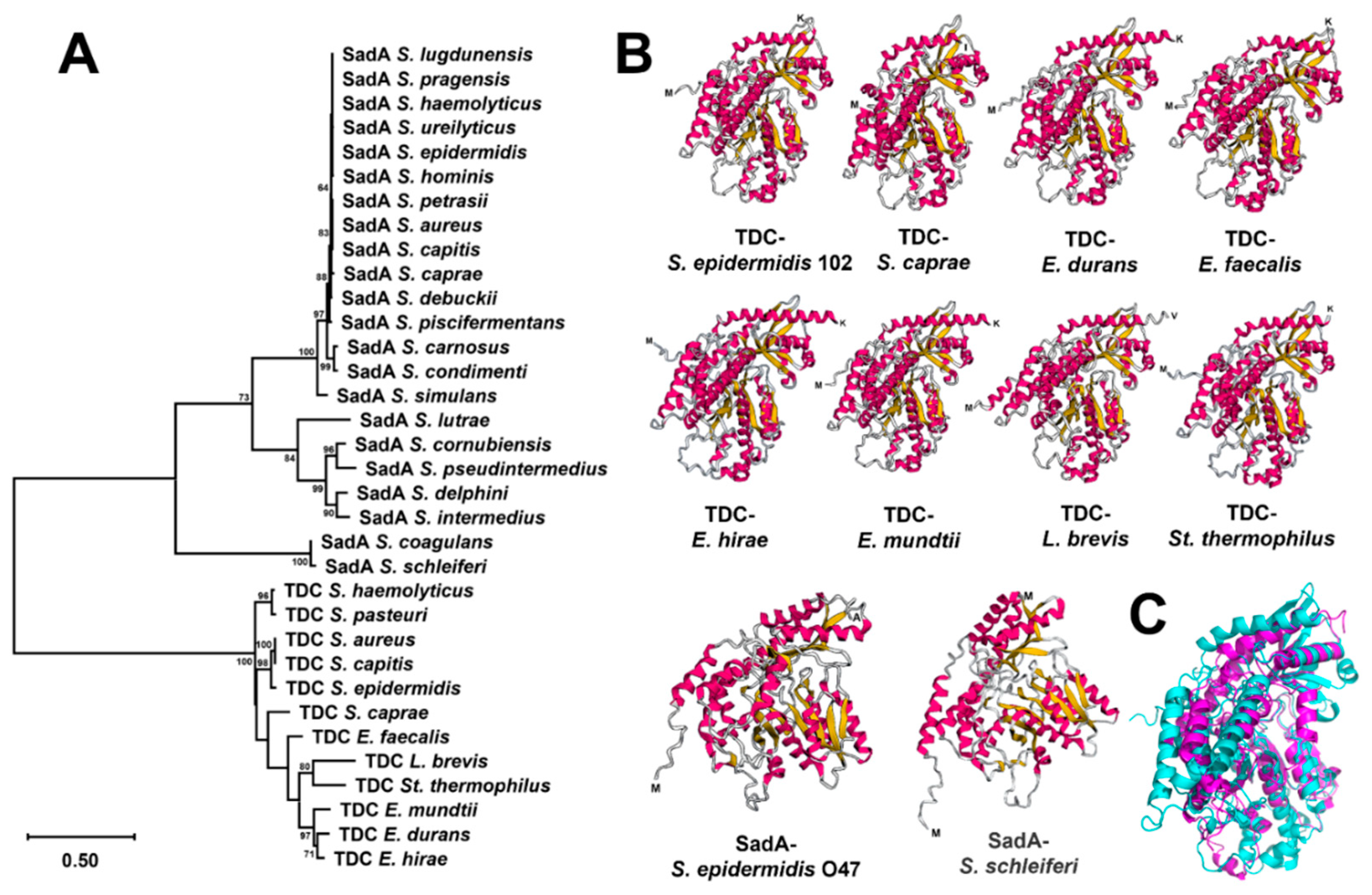 Preprints 122063 g004