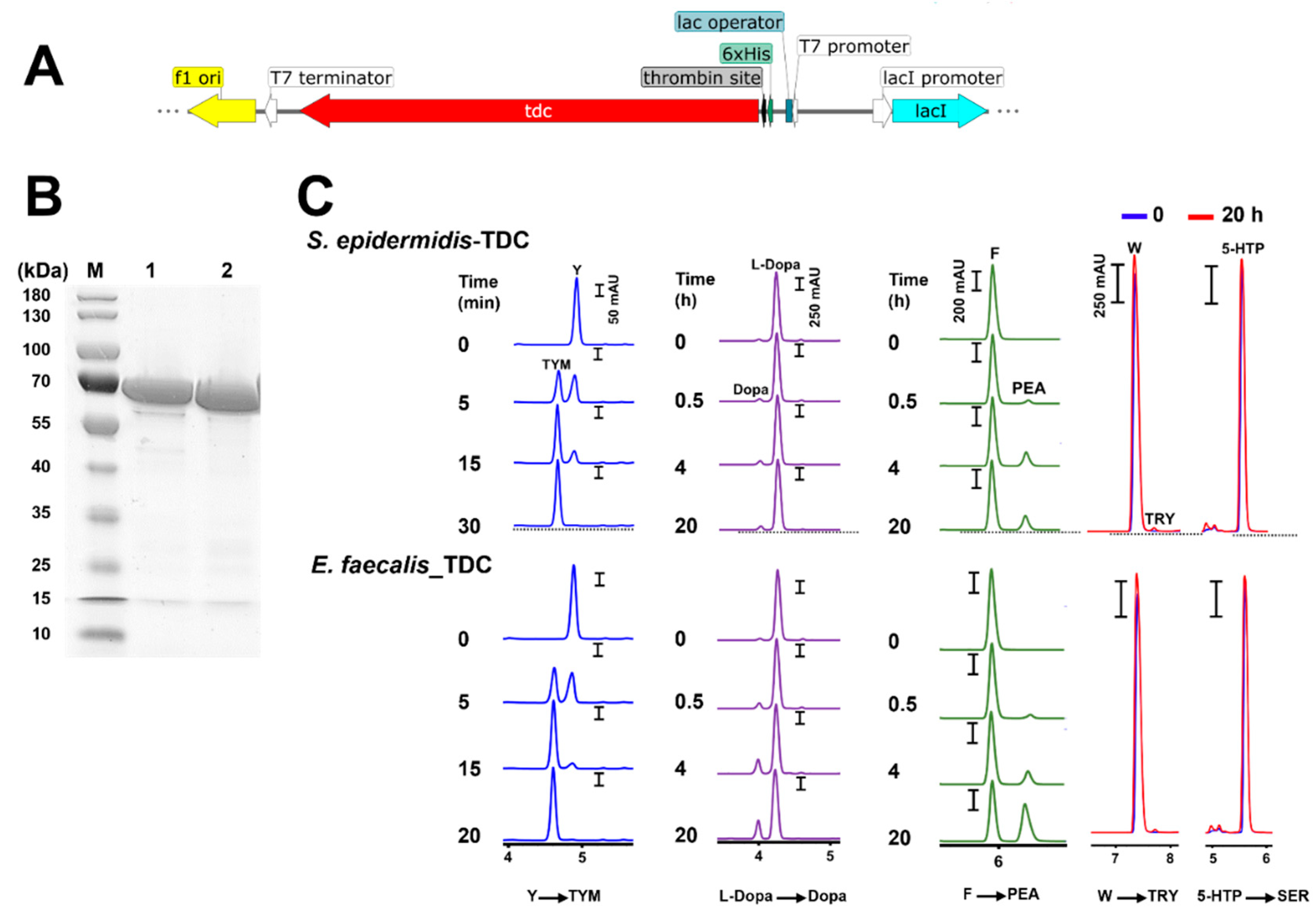 Preprints 122063 g006