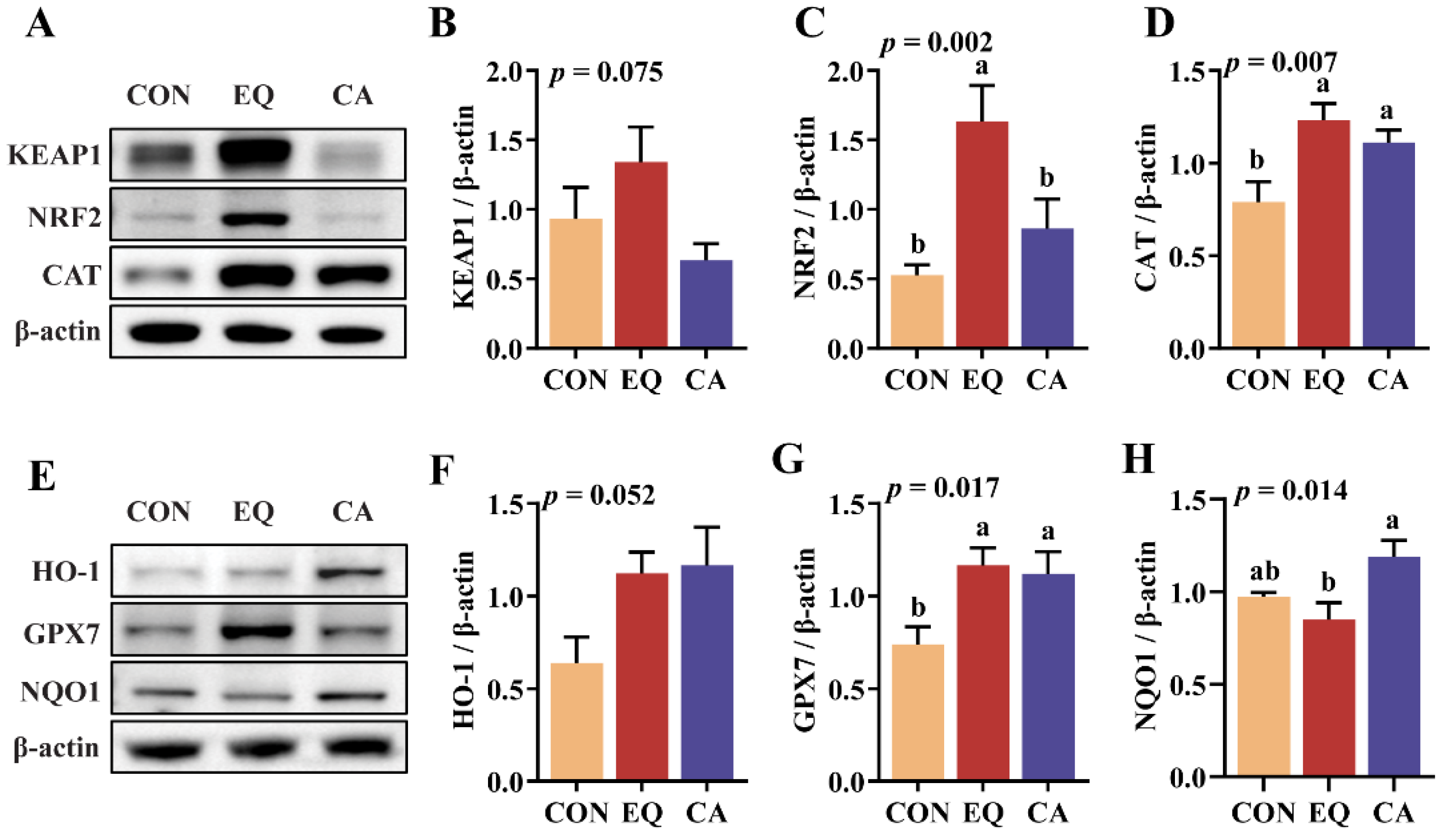 Preprints 118215 g005