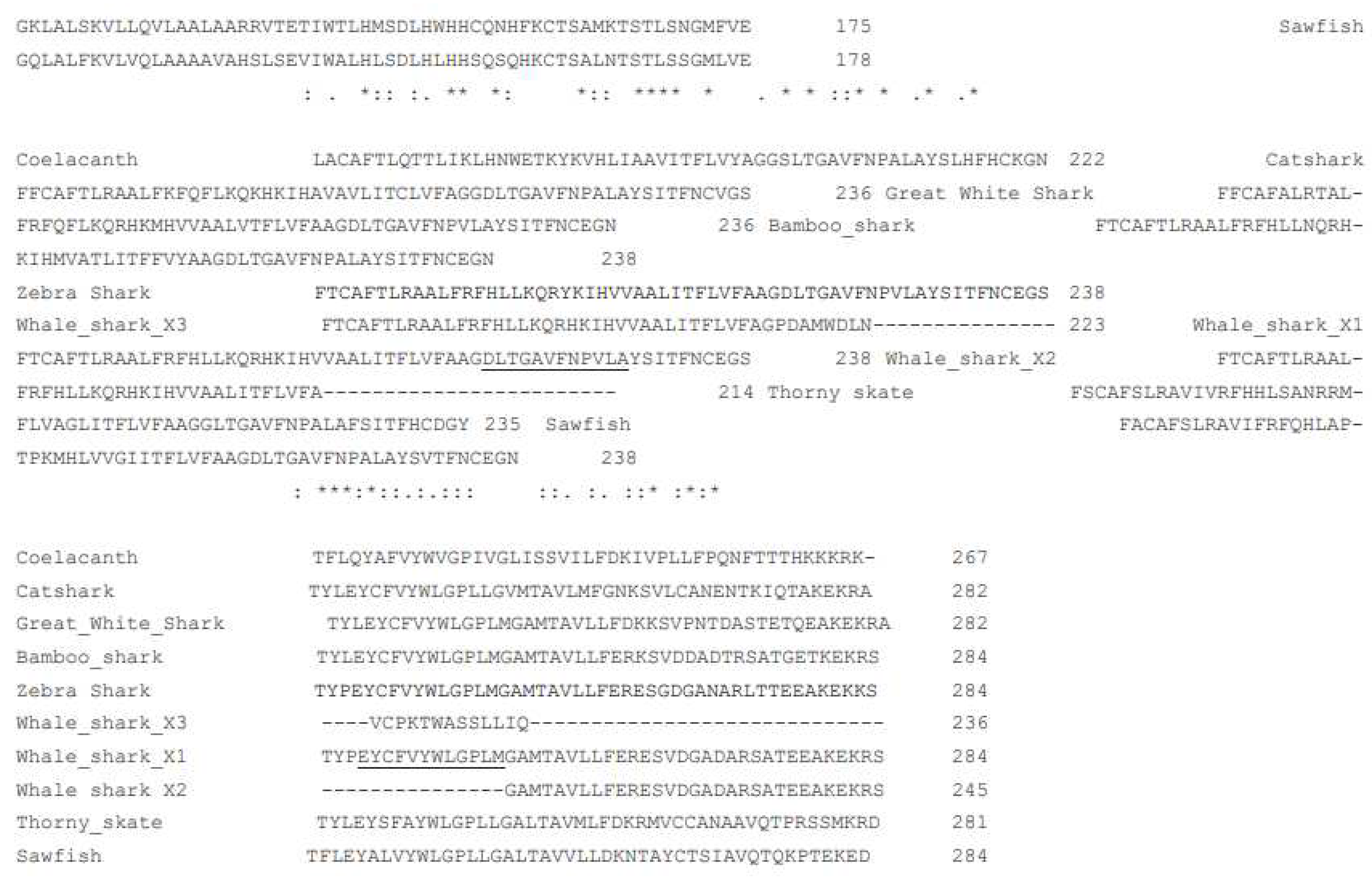 Preprints 95170 g001b