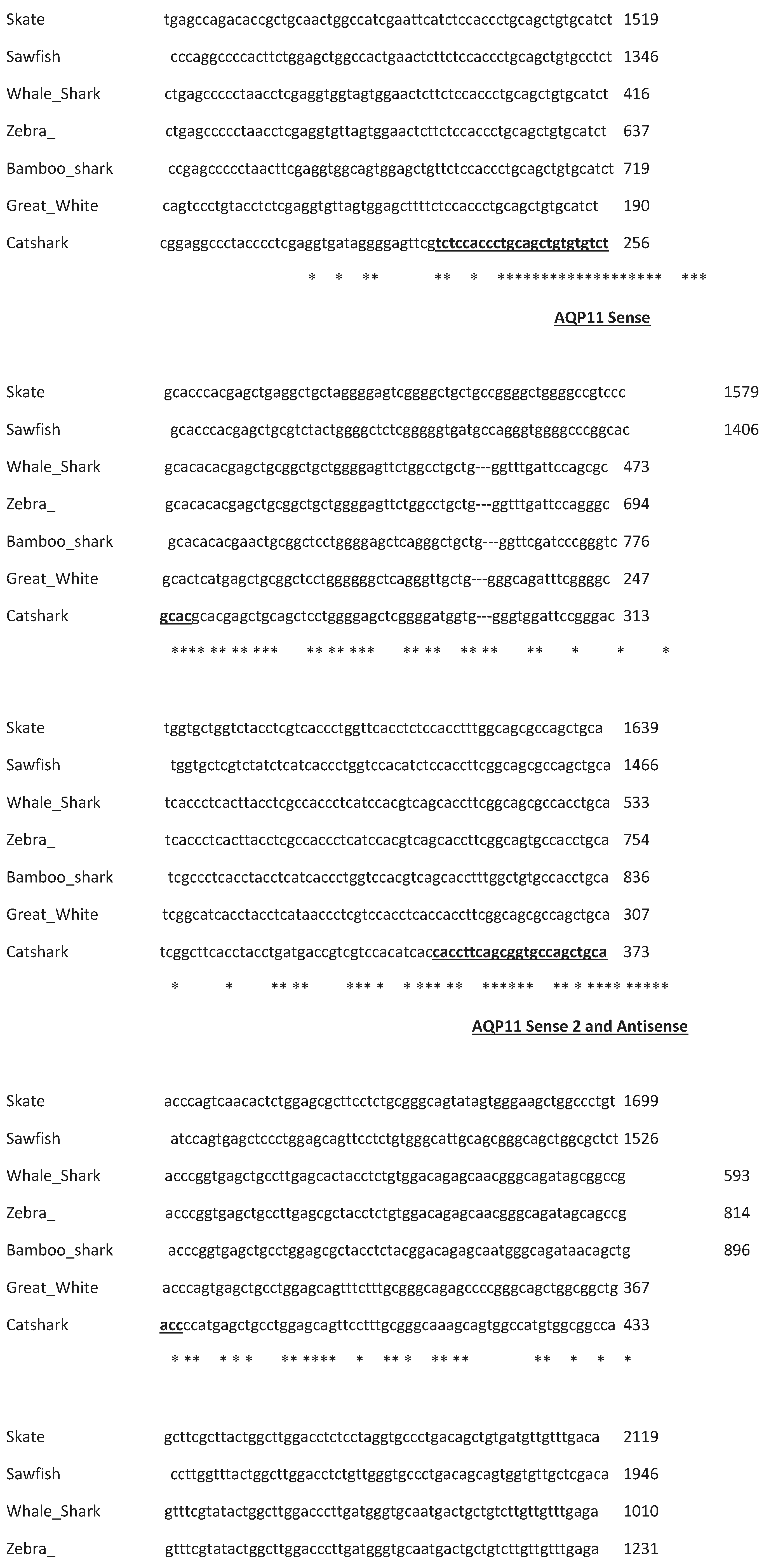 Preprints 95170 g003a