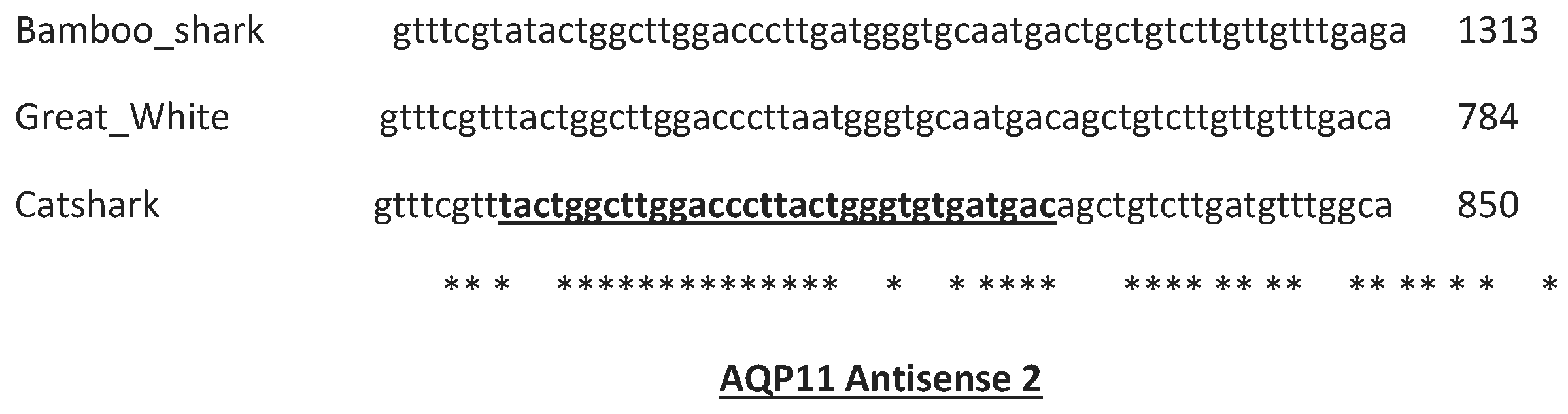 Preprints 95170 g003b