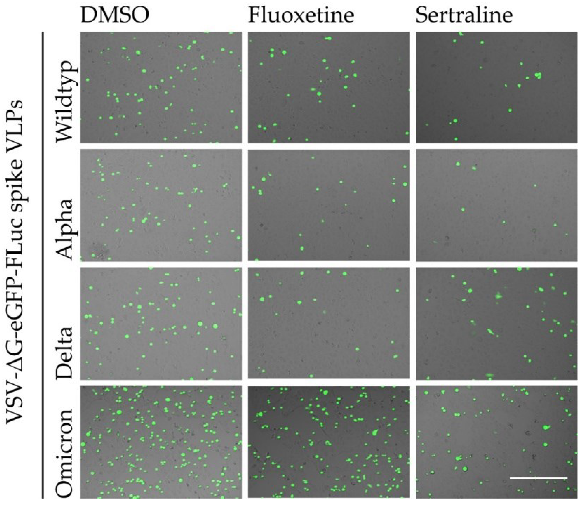 Preprints 100441 g003