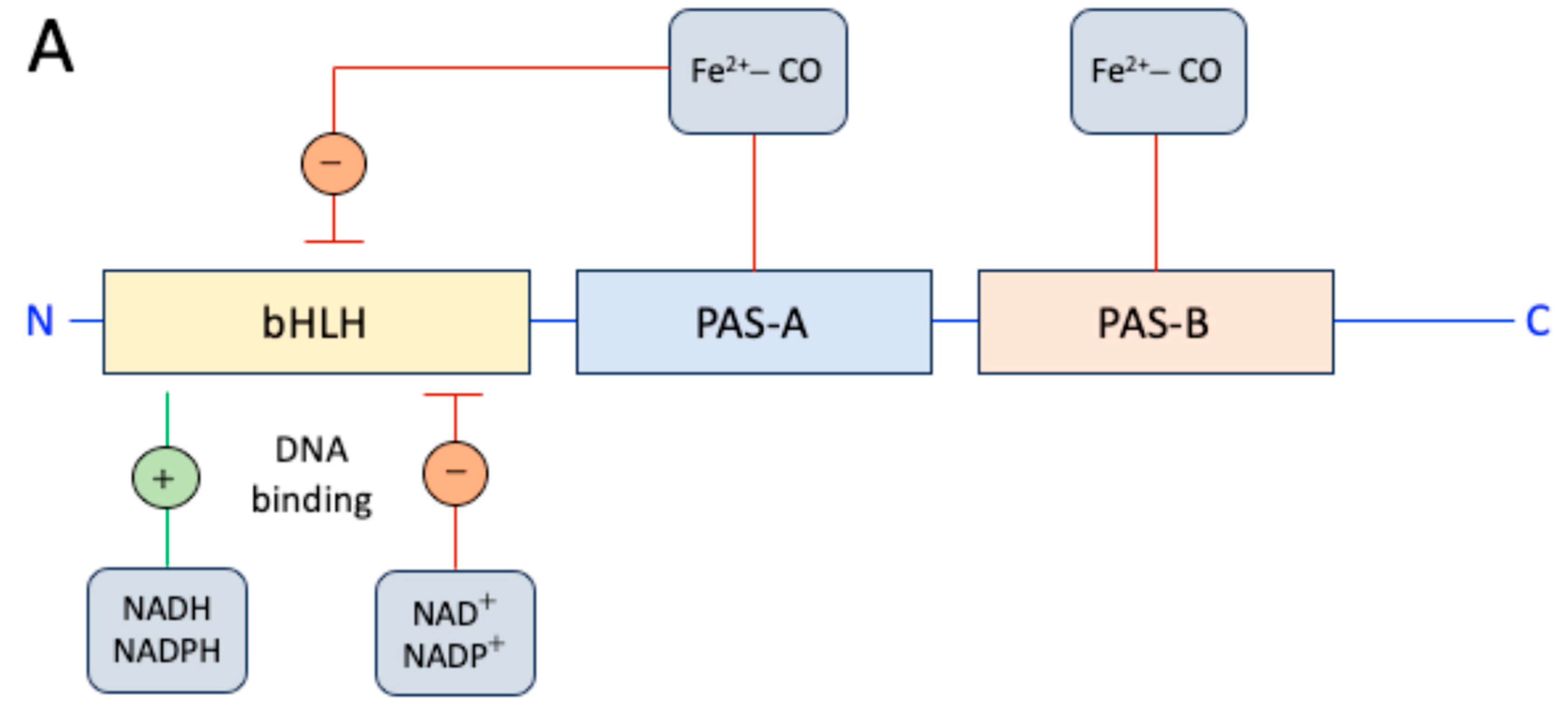 Preprints 83132 g001a