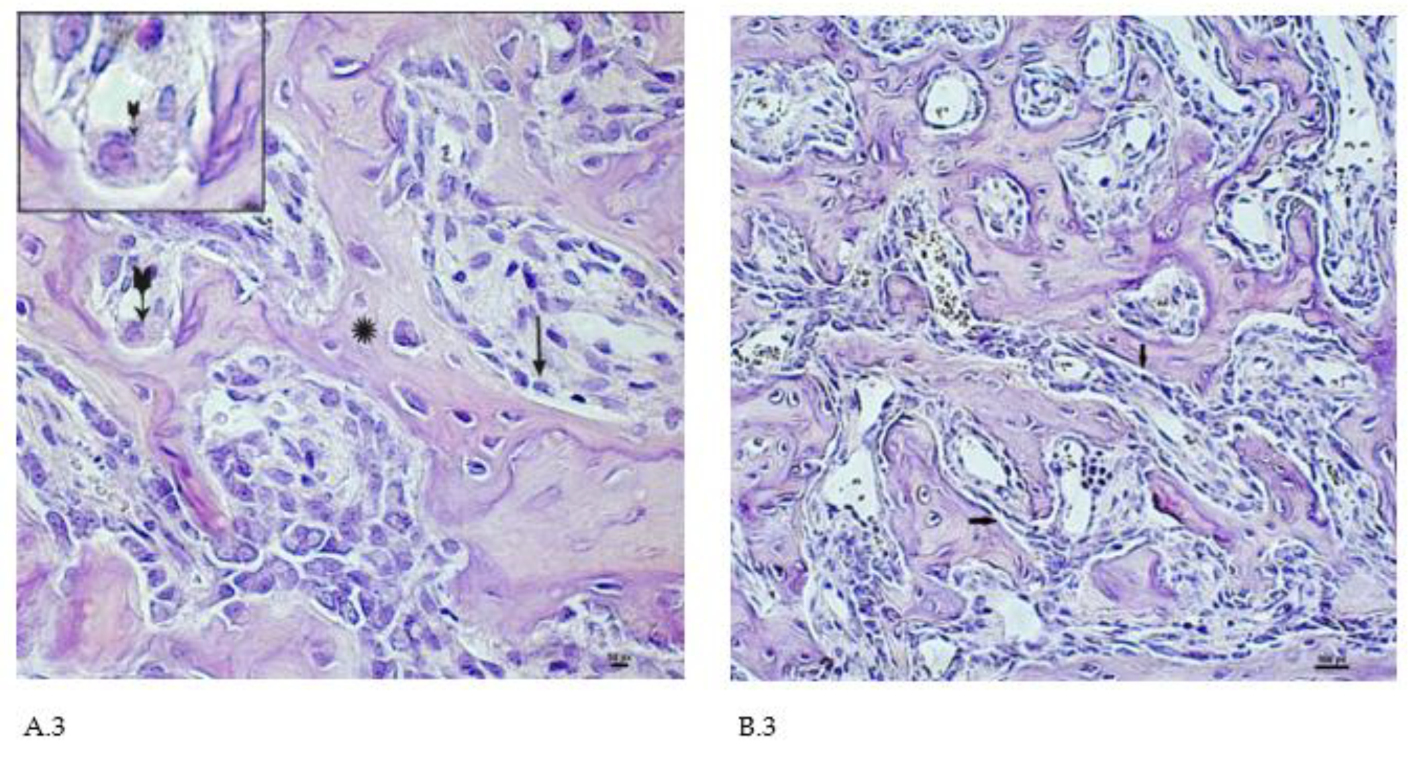 Preprints 87022 g003