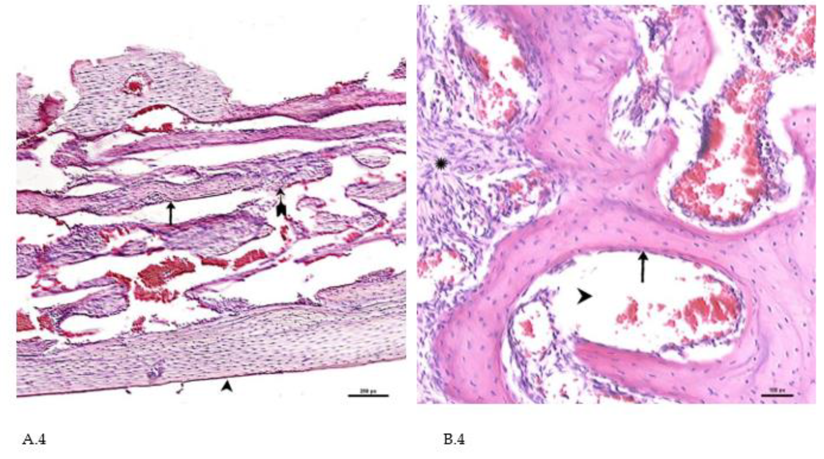 Preprints 87022 g004