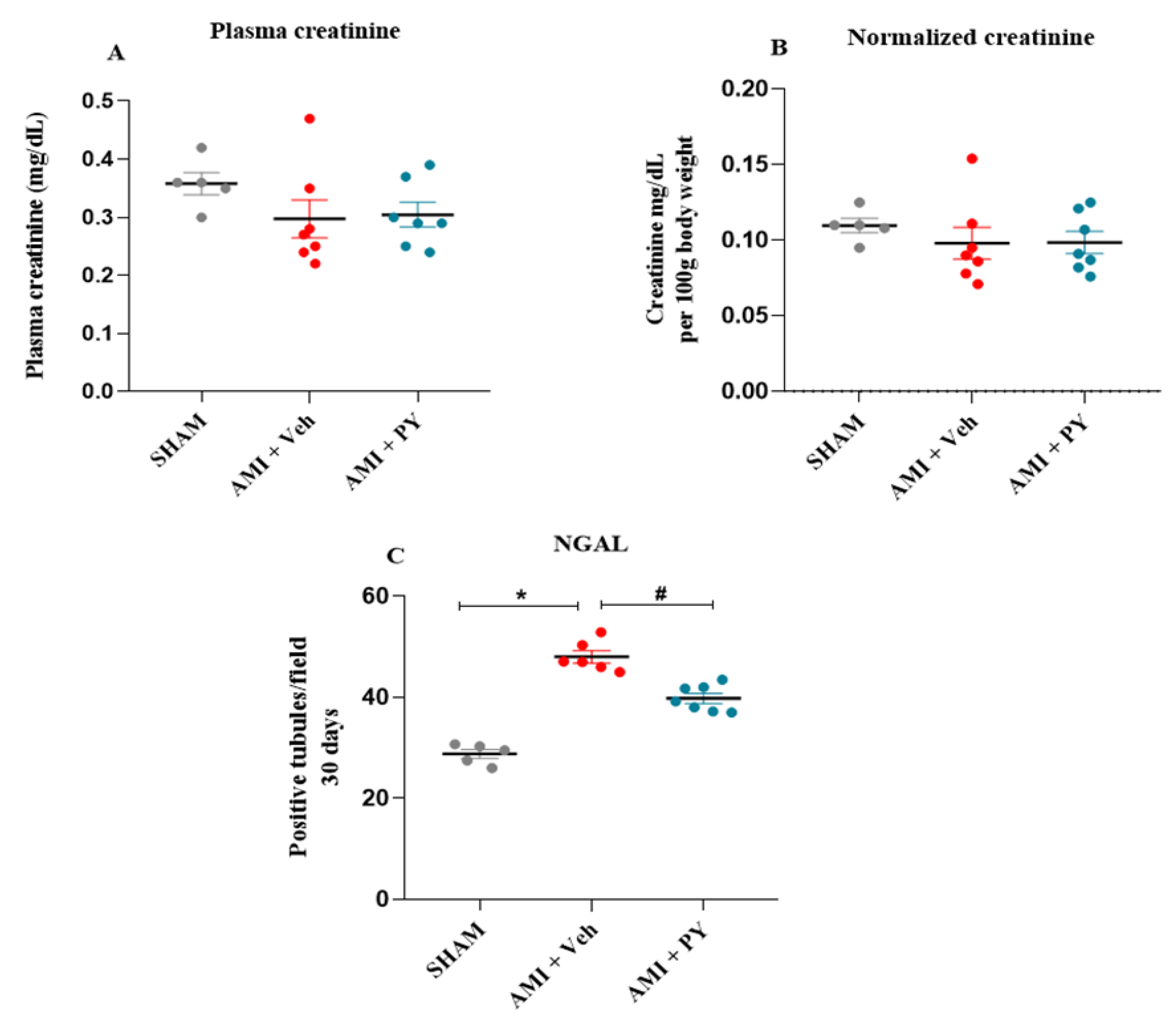 Preprints 100934 g001