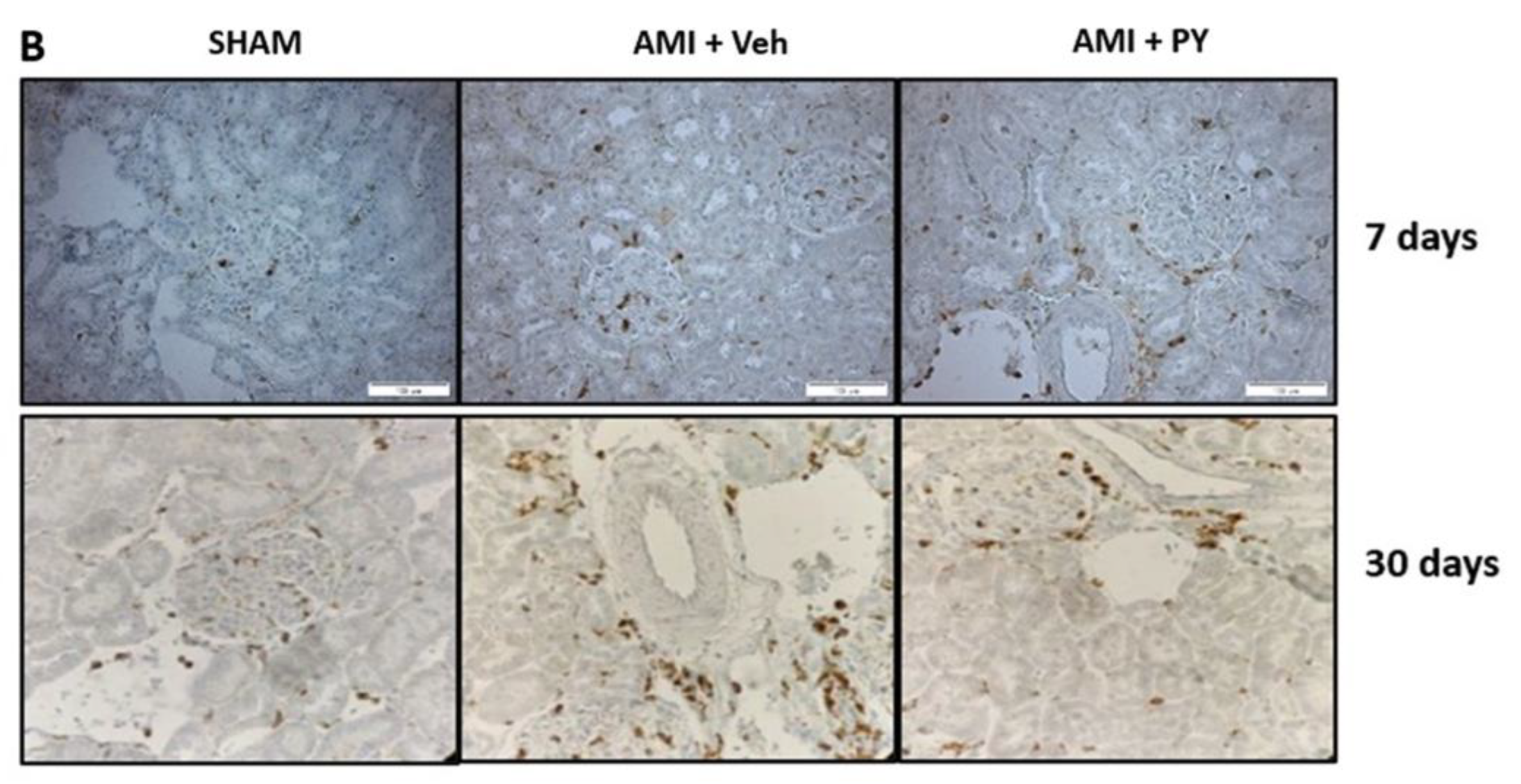 Preprints 100934 g003b