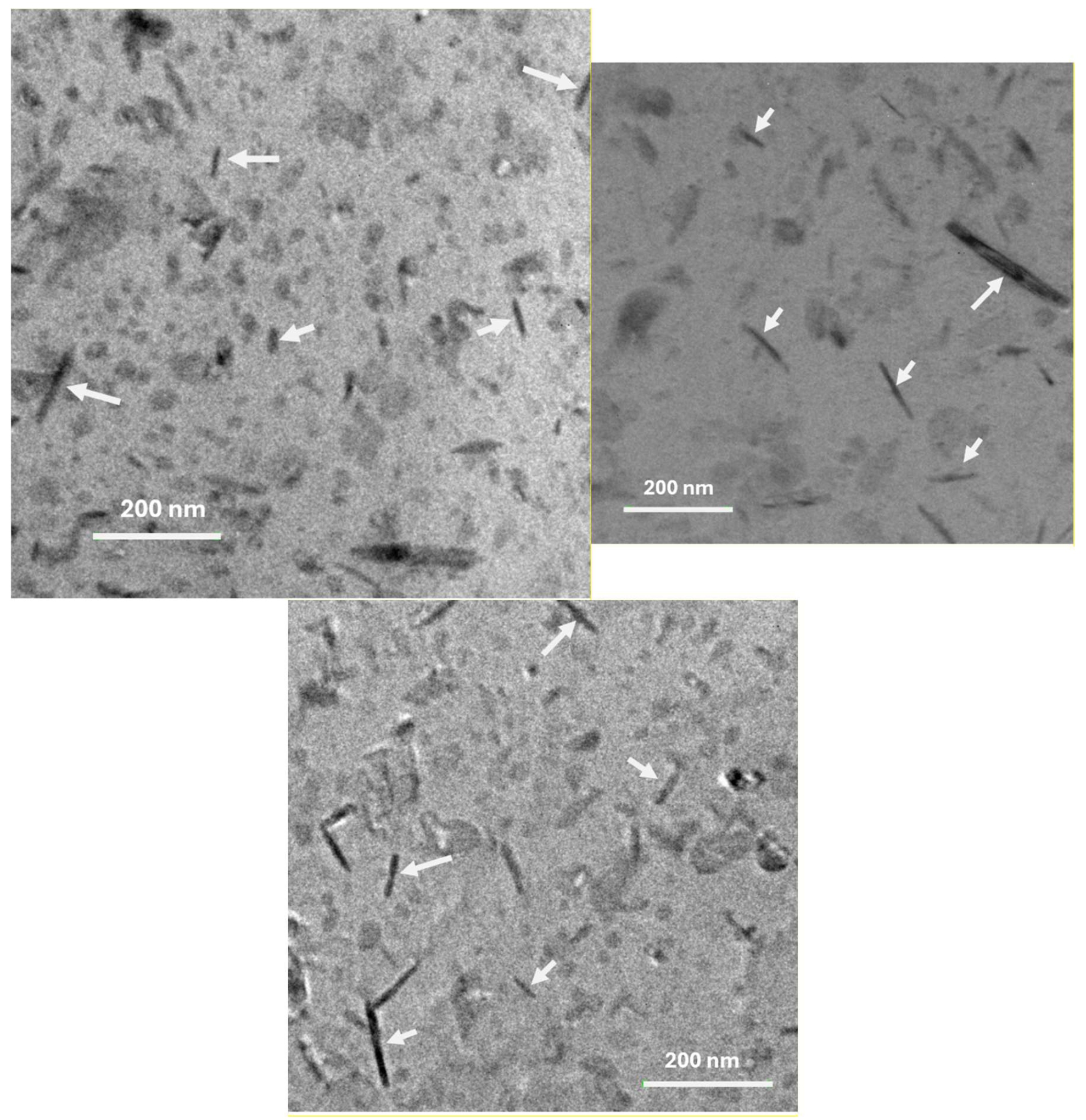 Preprints 116149 g002