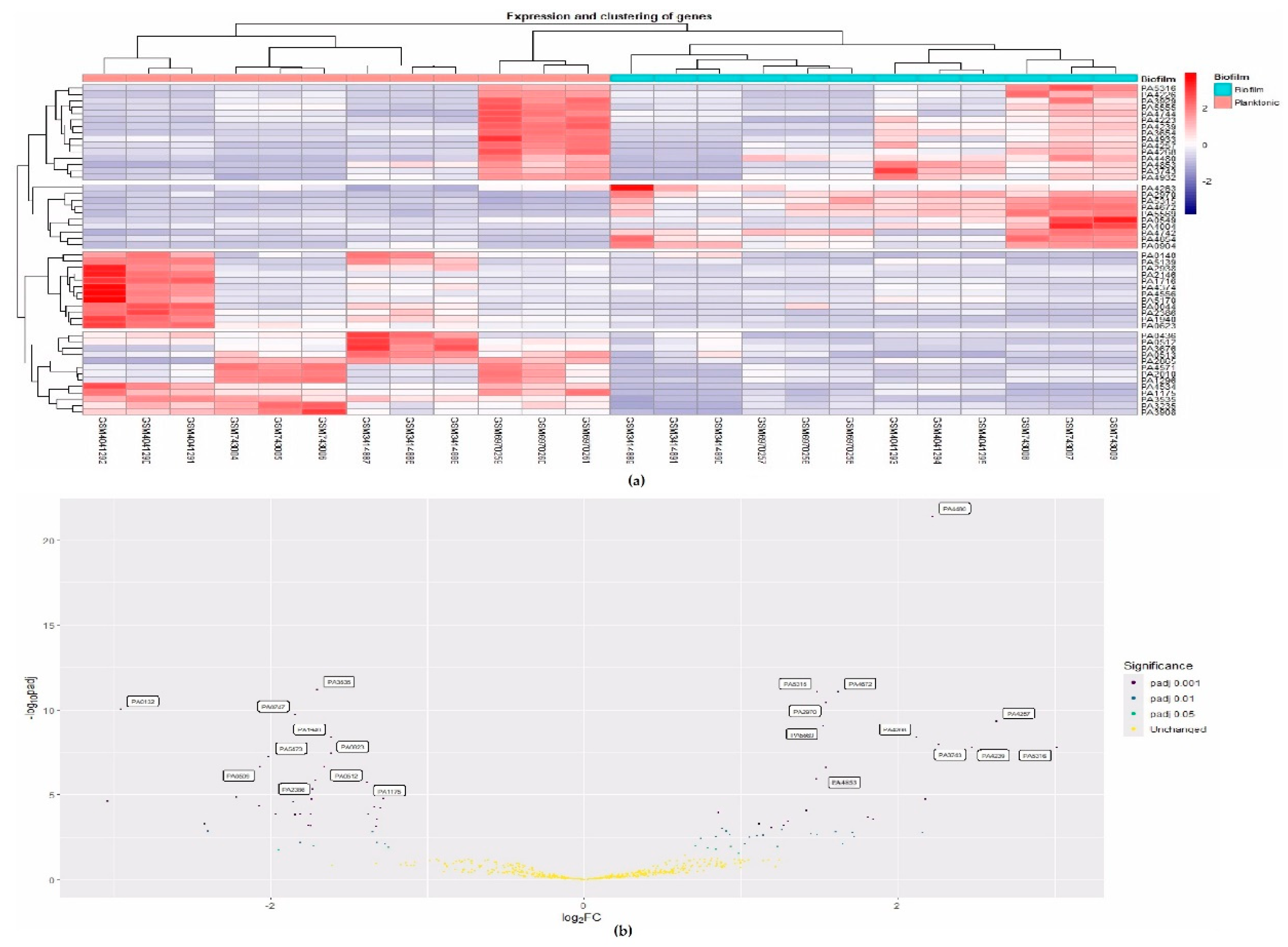 Preprints 121196 g002