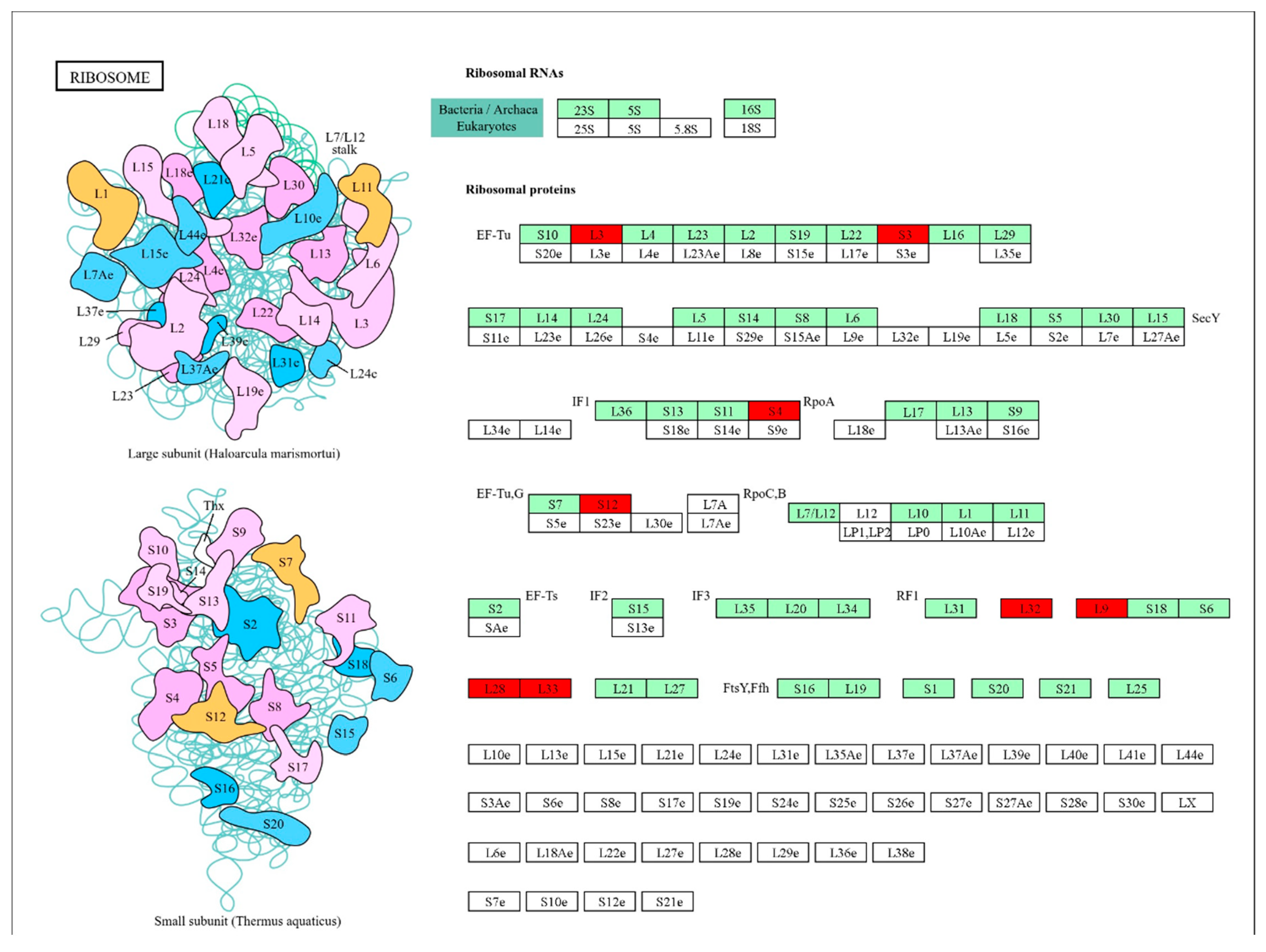 Preprints 121196 g005