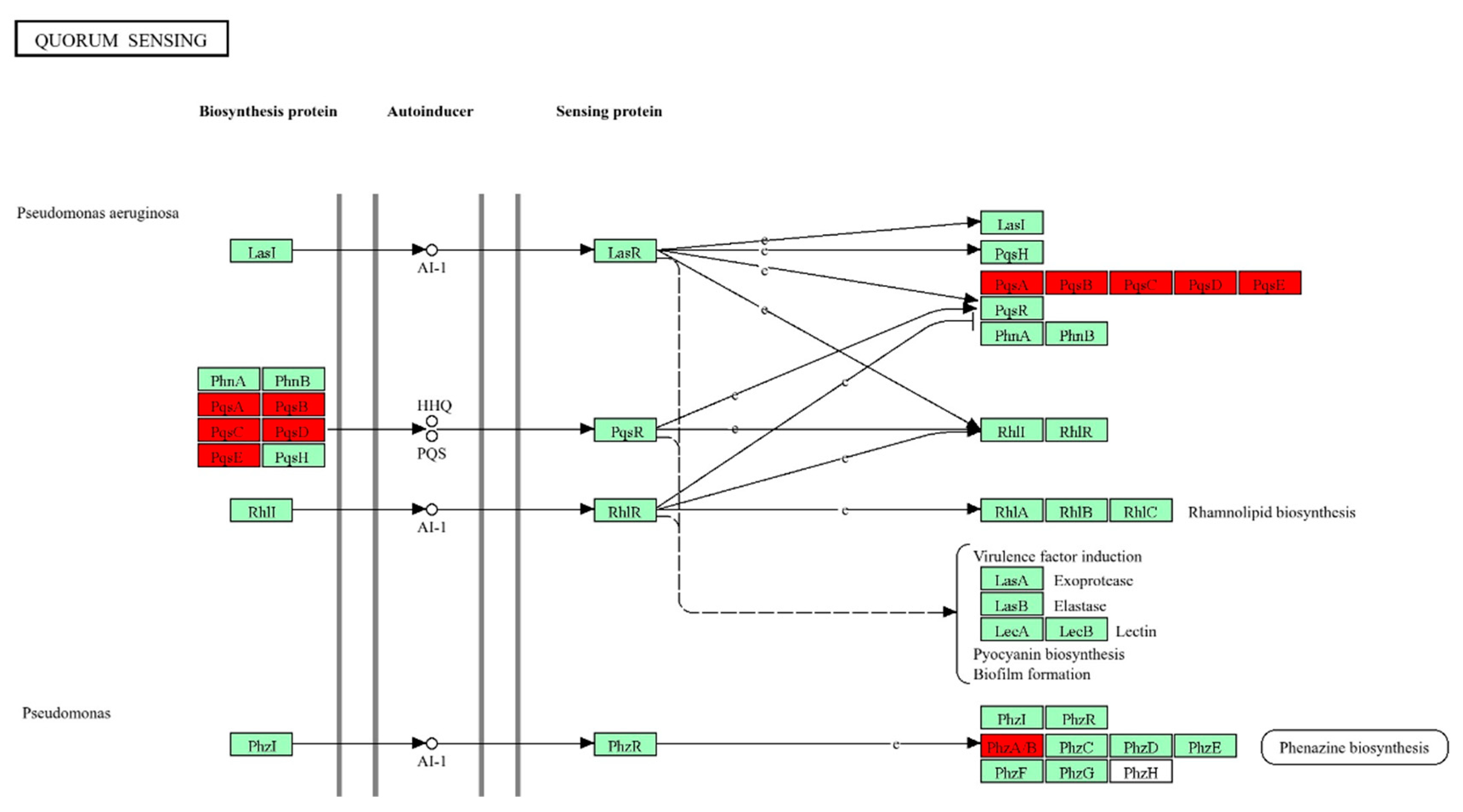 Preprints 121196 g006