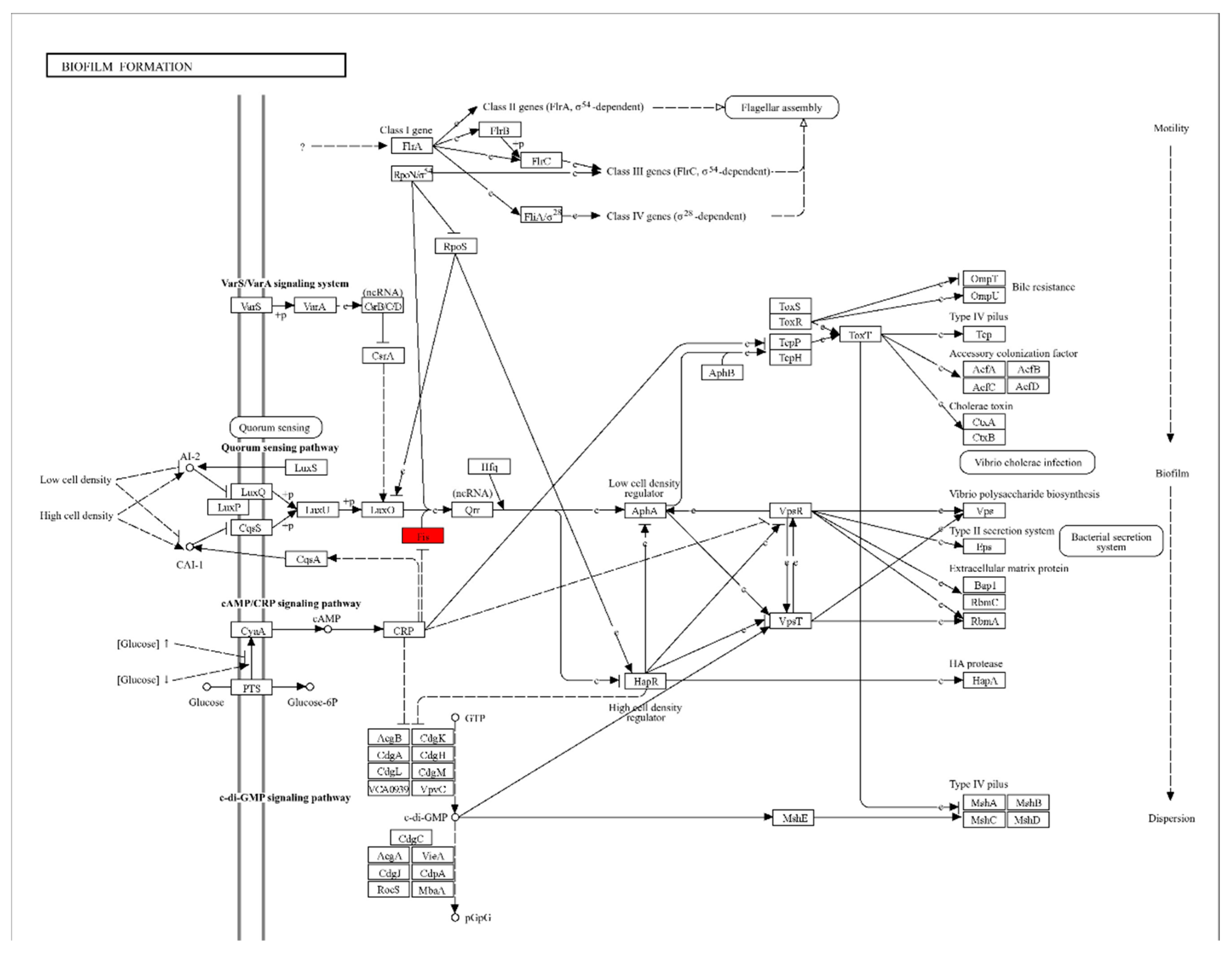 Preprints 121196 g007