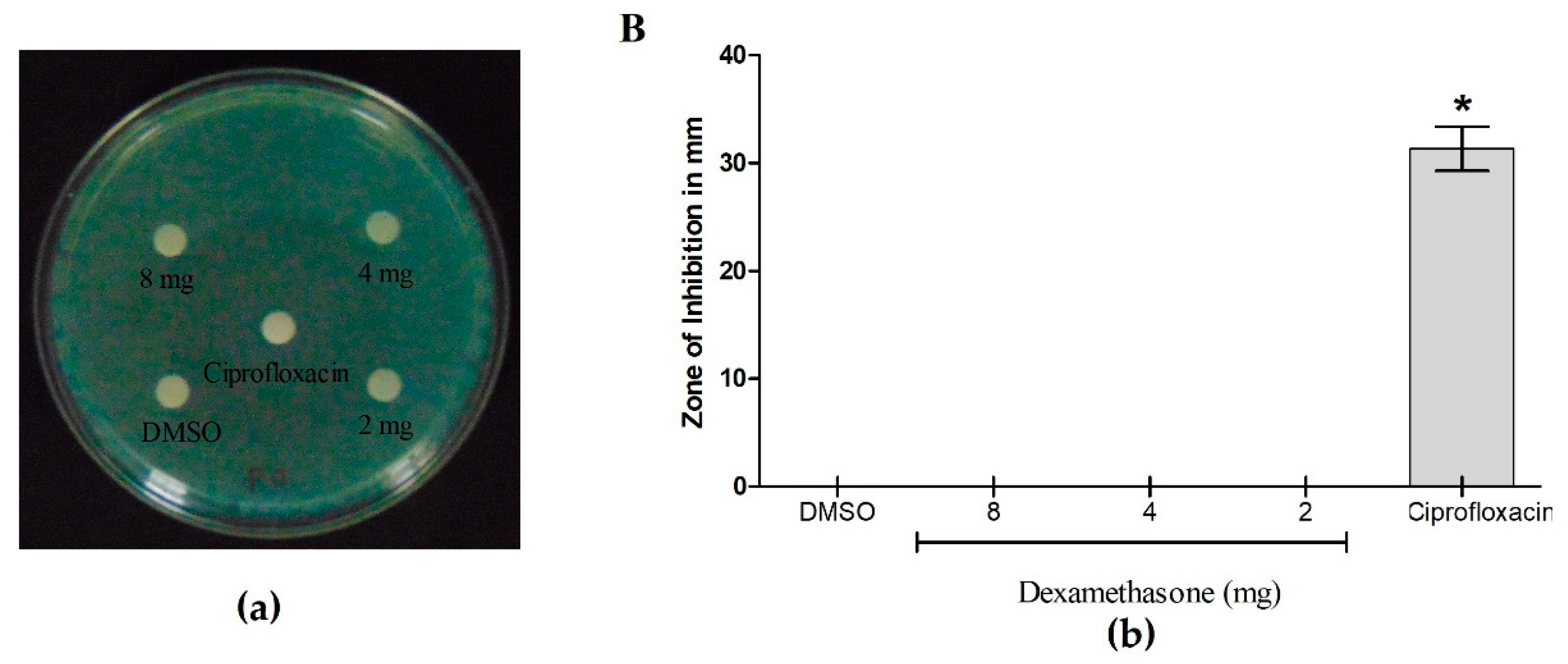 Preprints 121196 g009