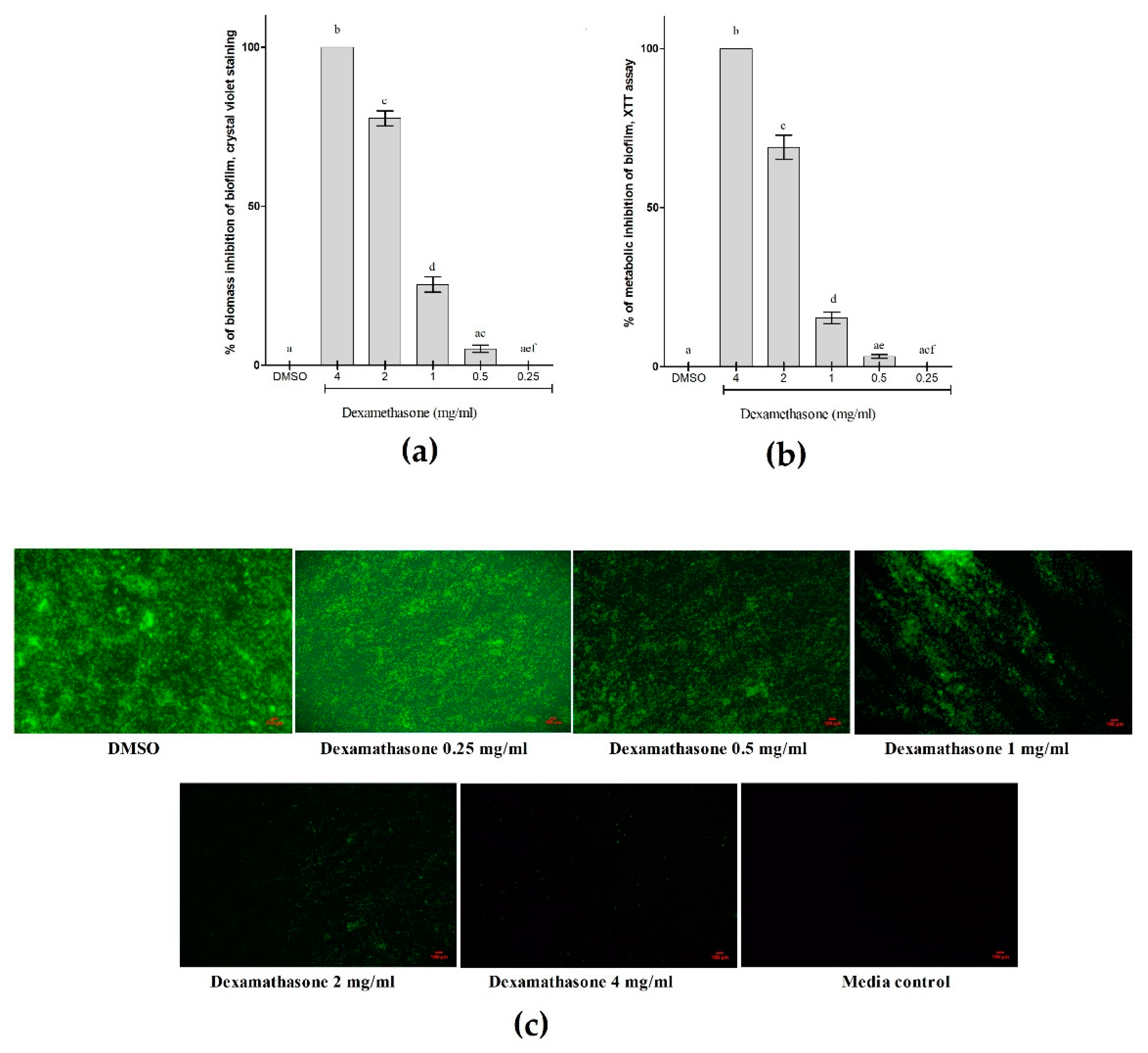 Preprints 121196 g010