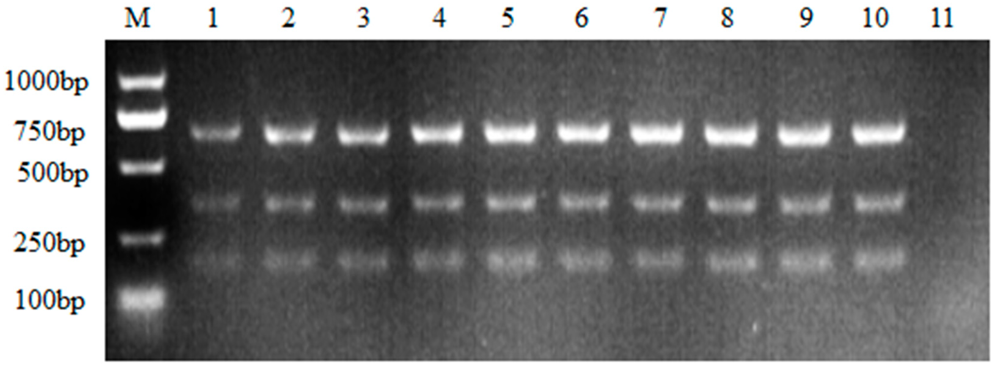 Preprints 85695 g001