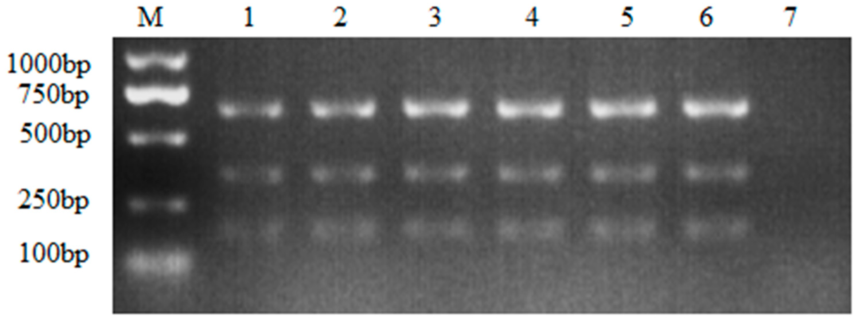 Preprints 85695 g002