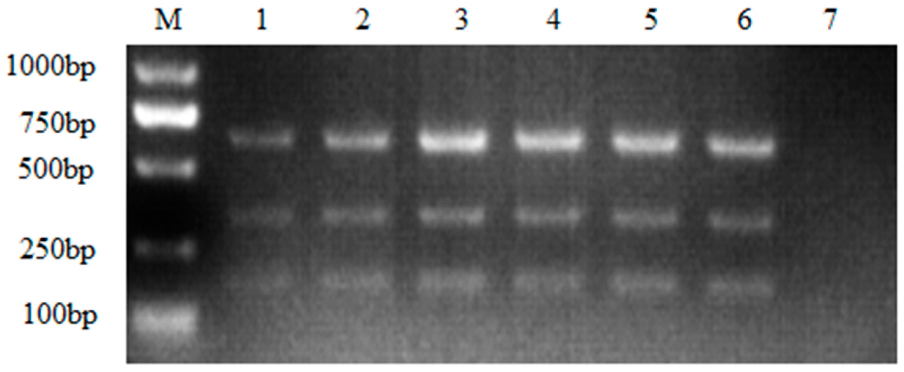 Preprints 85695 g003