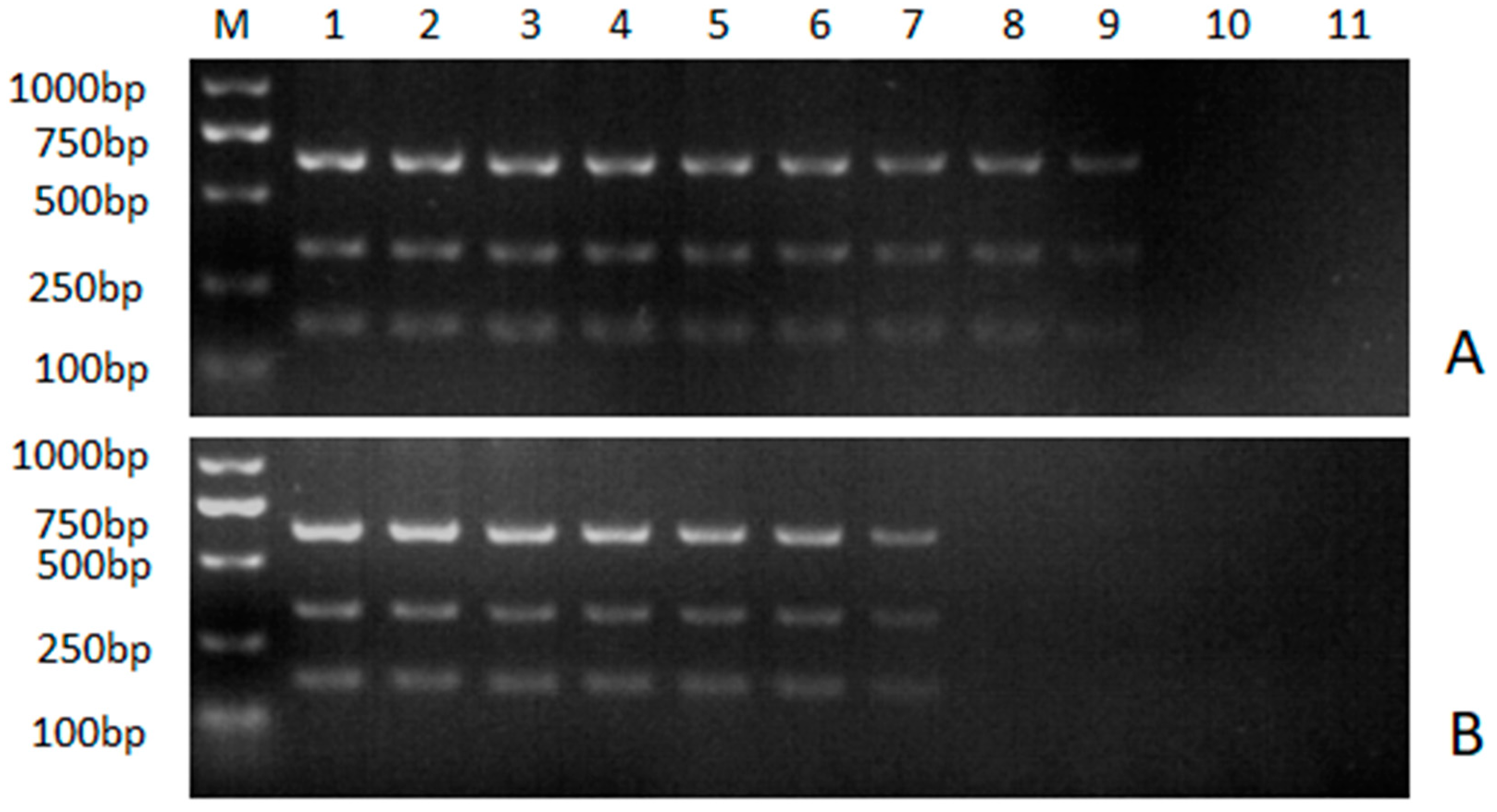 Preprints 85695 g004