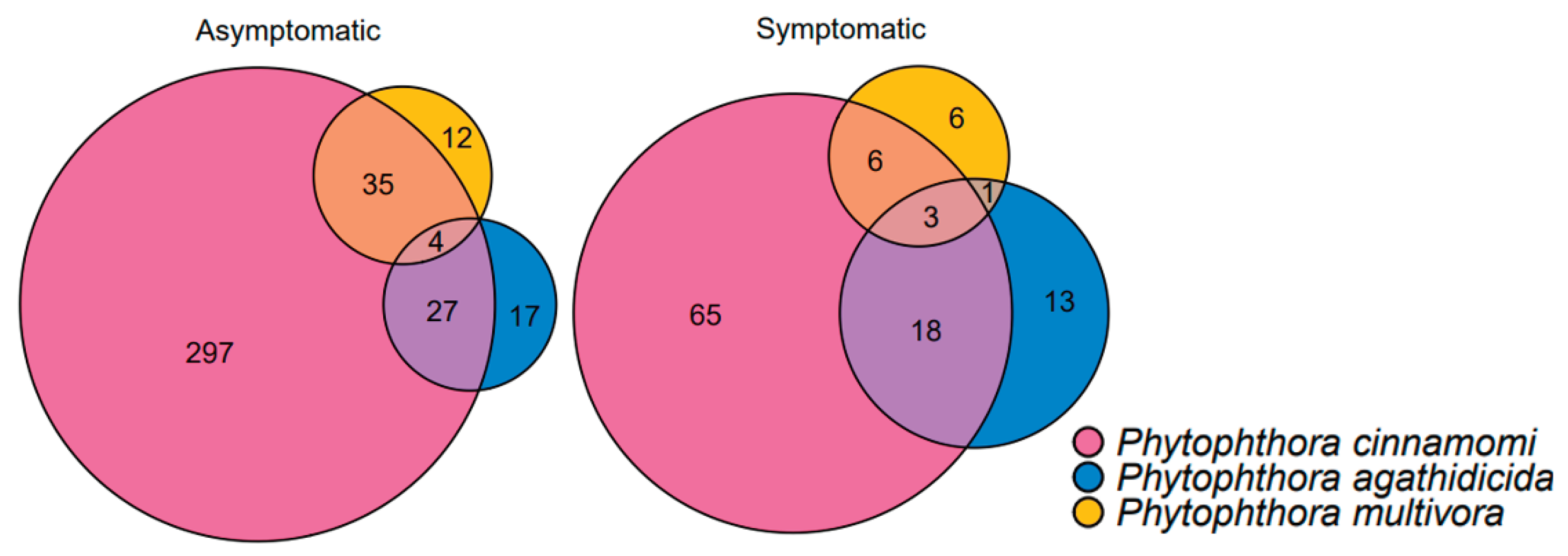 Preprints 101047 g006